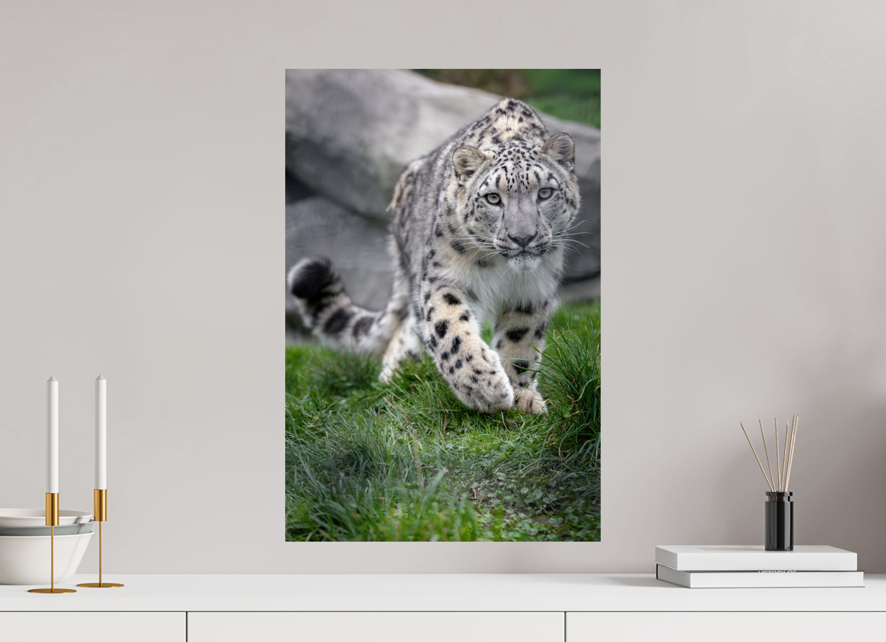 40 x 60 cm, Fine Art Print auf Alu-Dibond Curious Hunter