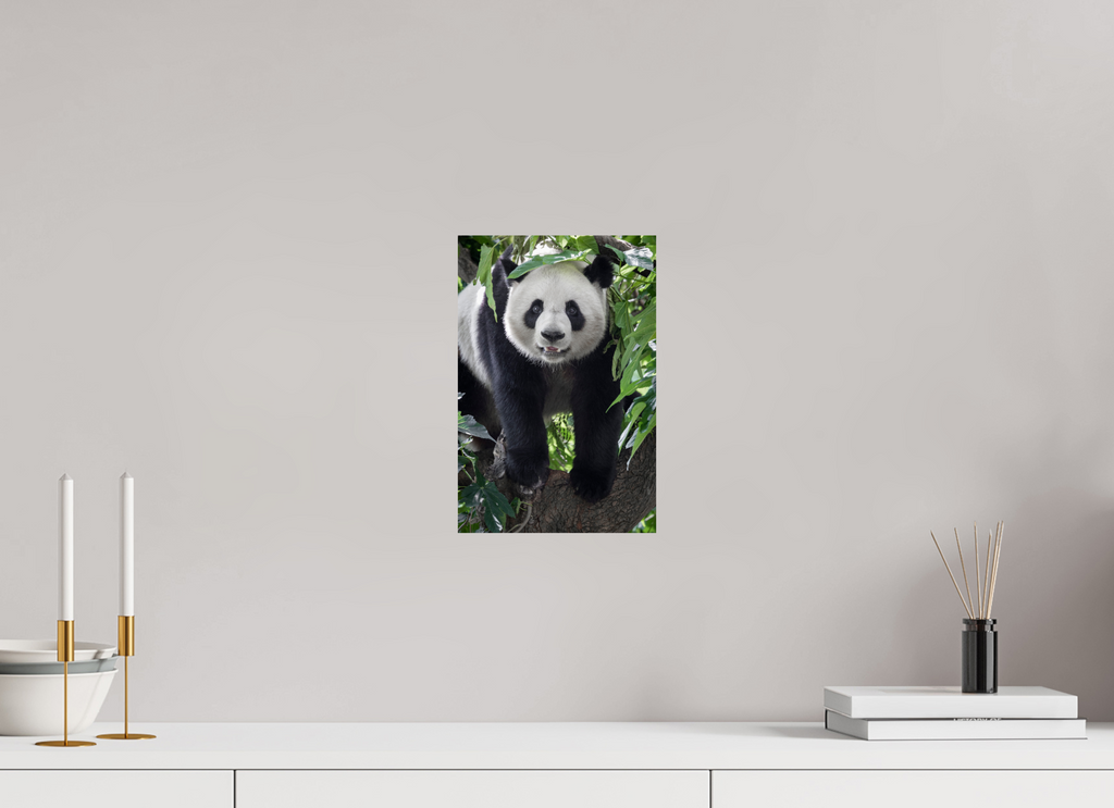 20 x 30 cm, Fine Art Print auf Alu-Dibond Panda Portrait