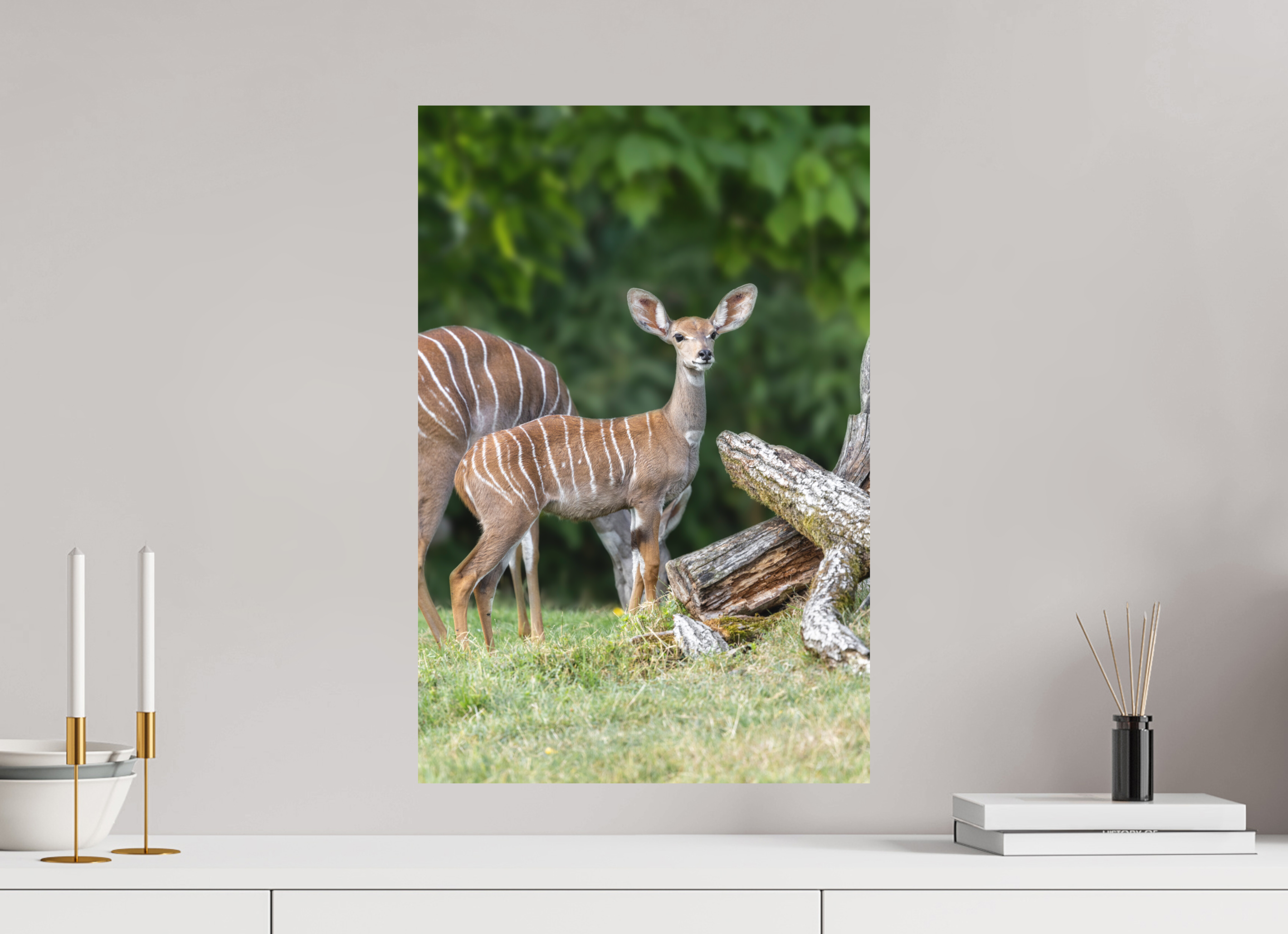 40 x 60 cm, Fine-Art Print Matt Gentle Youth