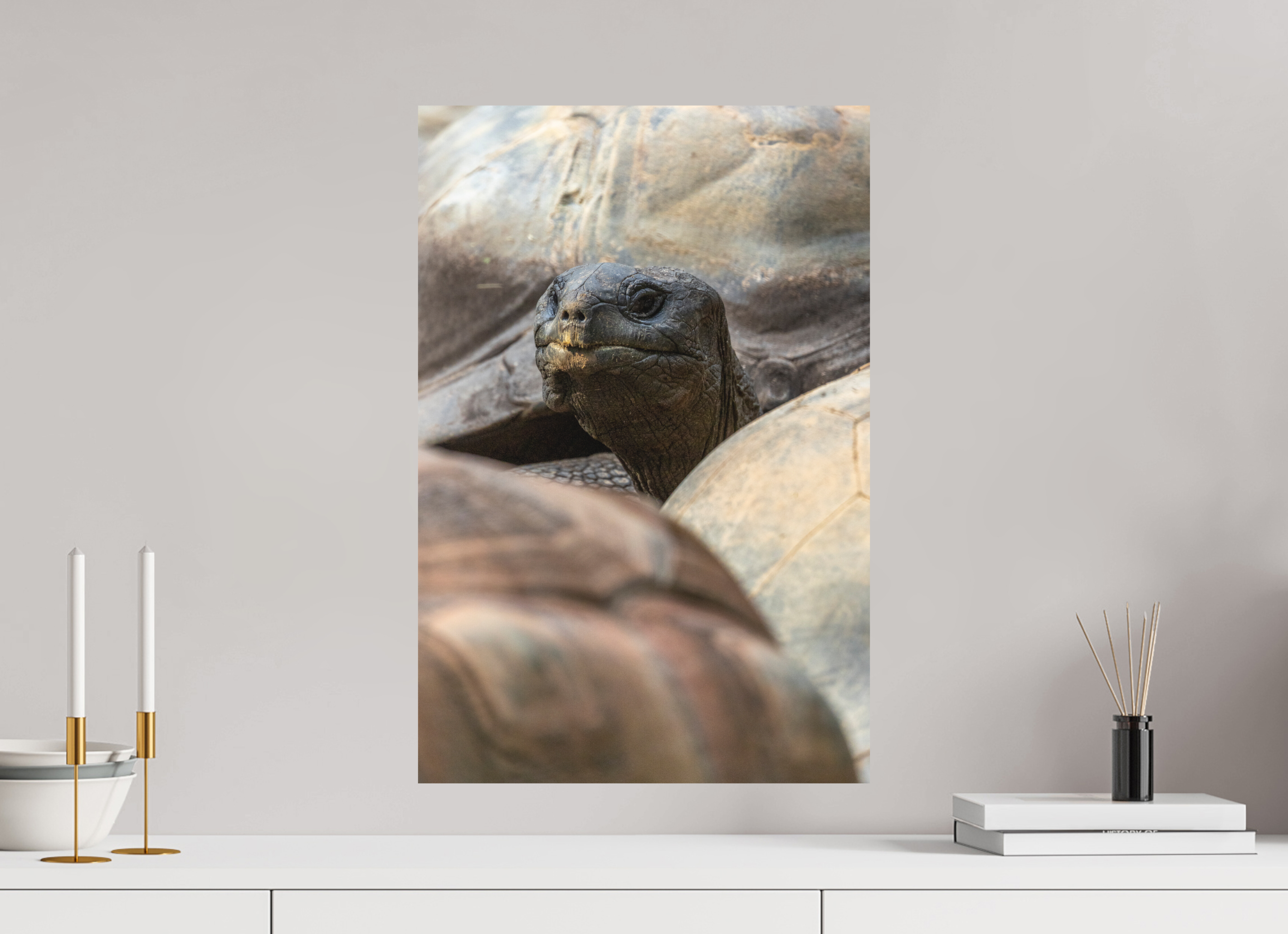 40 x 60 cm, Fine-Art Print Matt Peekaboo Giant