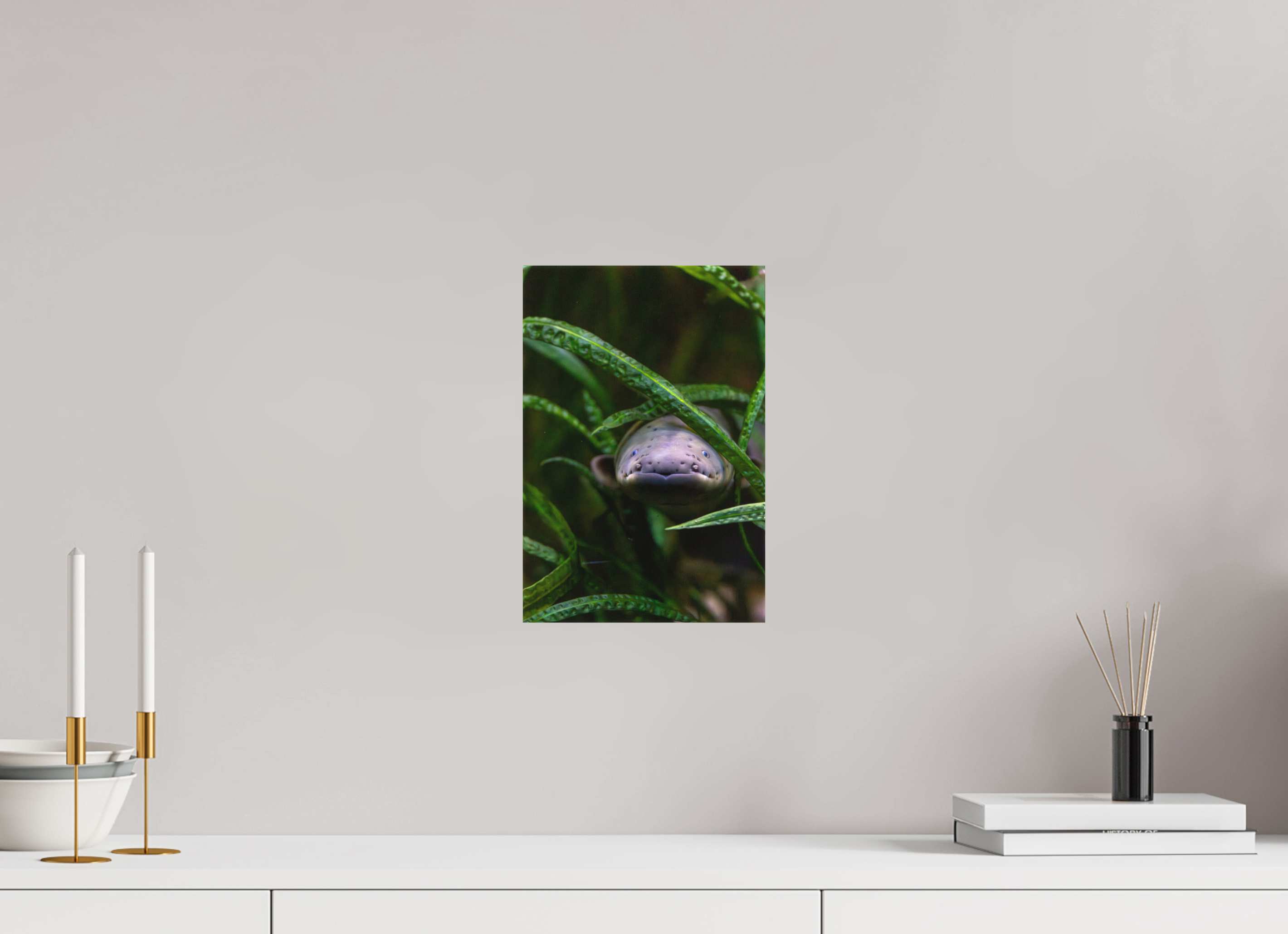 20 x 30 cm, Leinwand Electric Peek