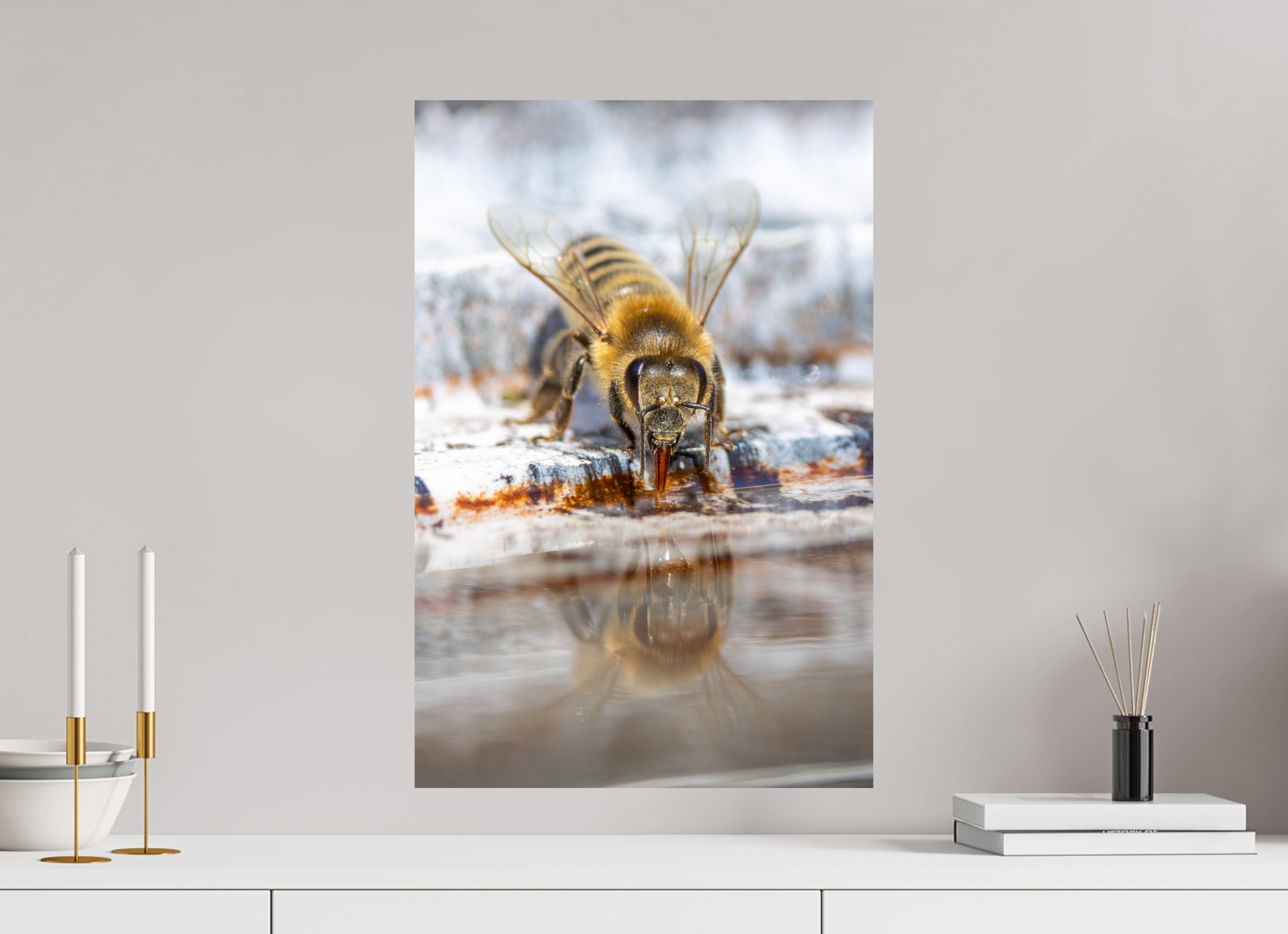 40 x 60 cm, Fine Art Print auf Alu-Dibond Tiny Mirror