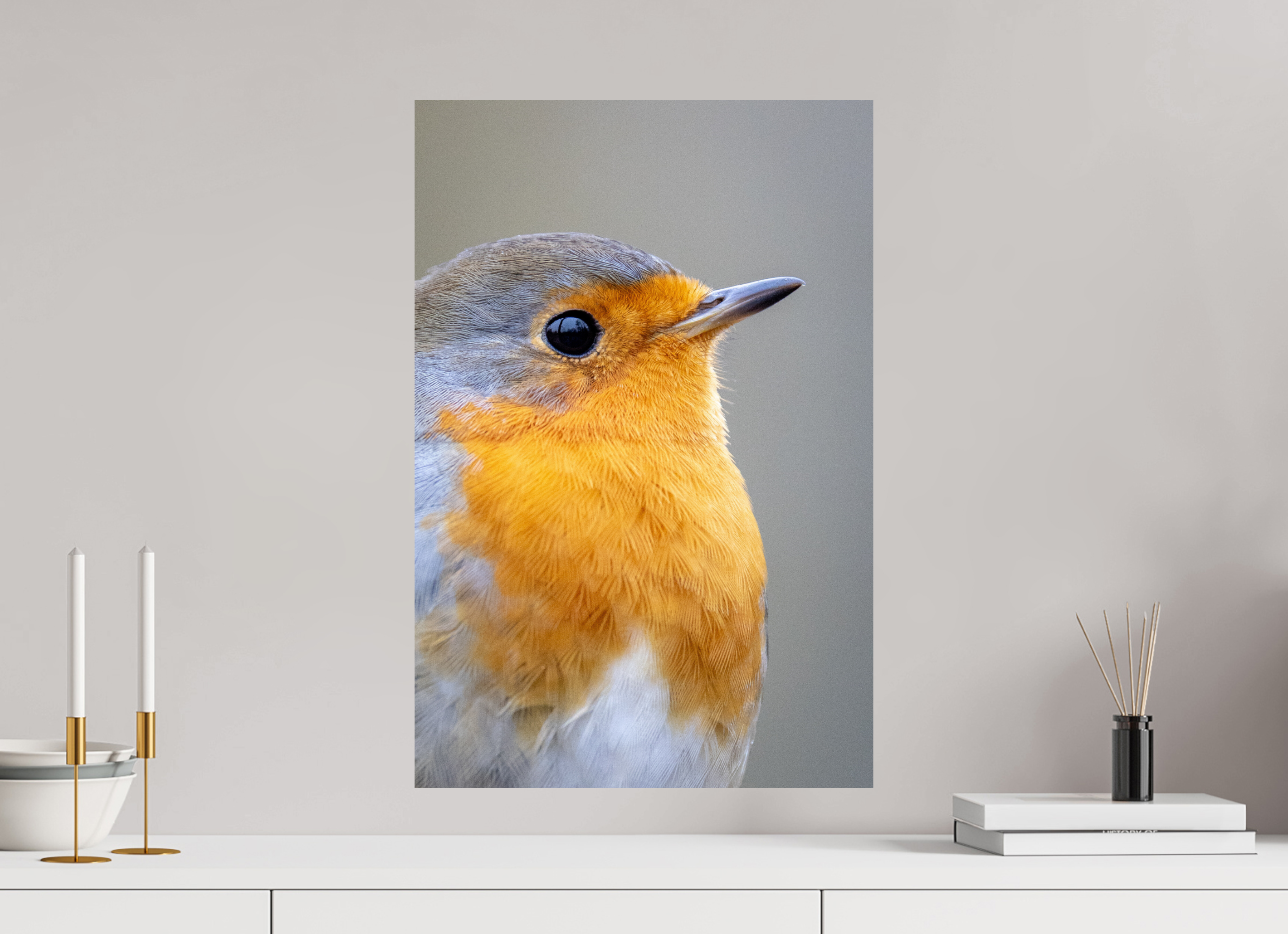 40 x 60 cm, Fine Art Print auf Alu-Dibond Robin Portrait