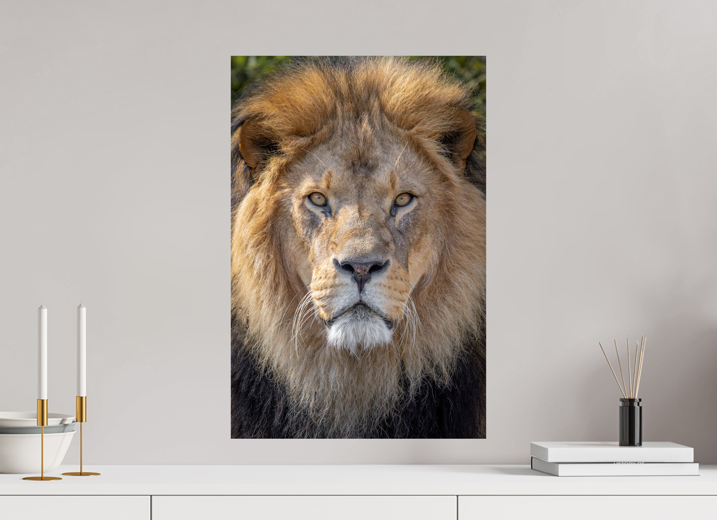 40 x 60 cm, Fine Art Print auf Alu-Dibond Eternal King