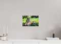 30 x 20 cm, Fine-Art Print Matt Resting Predator