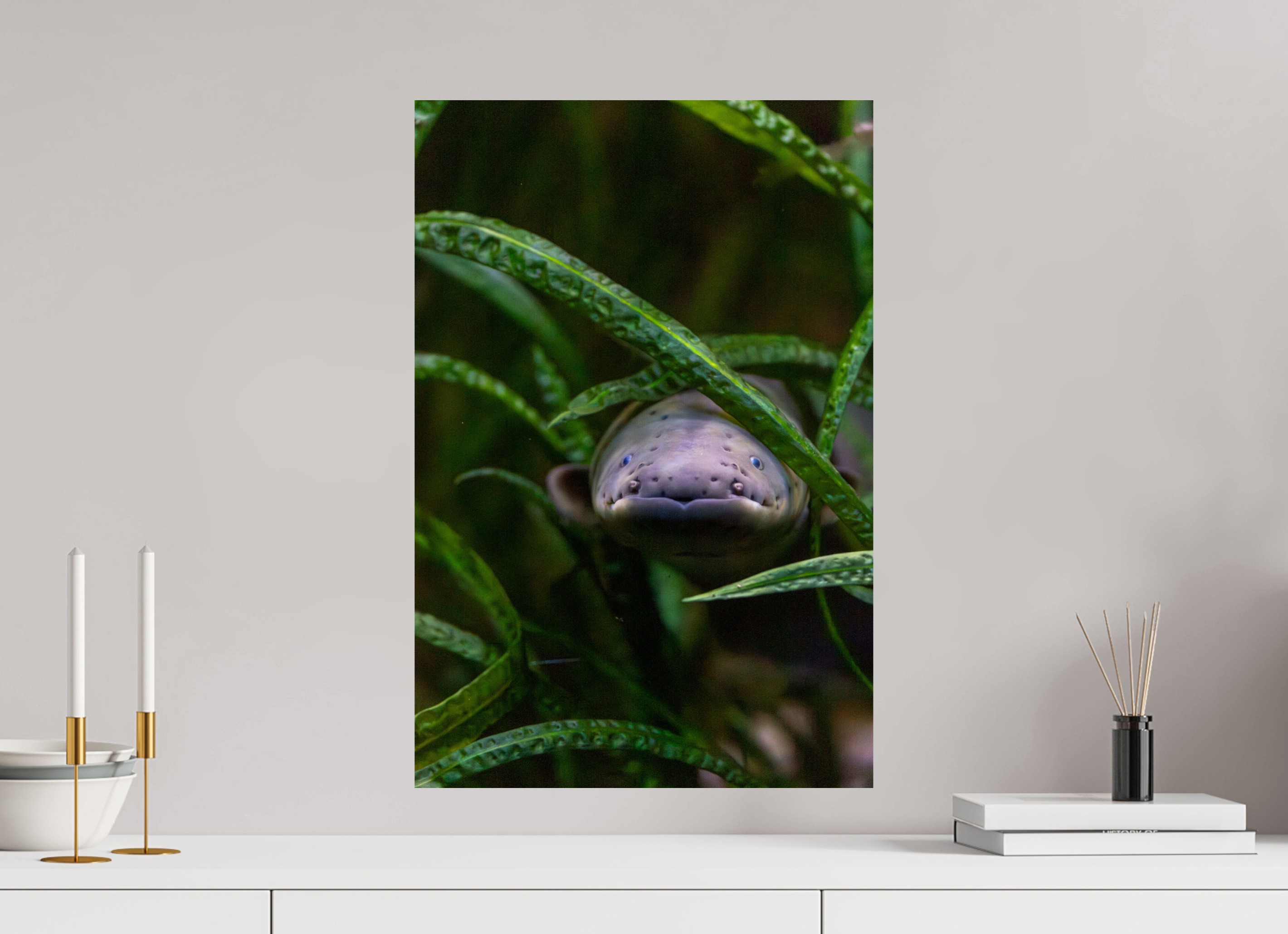 40 x 60 cm, Fine Art Print auf Alu-Dibond Electric Peek