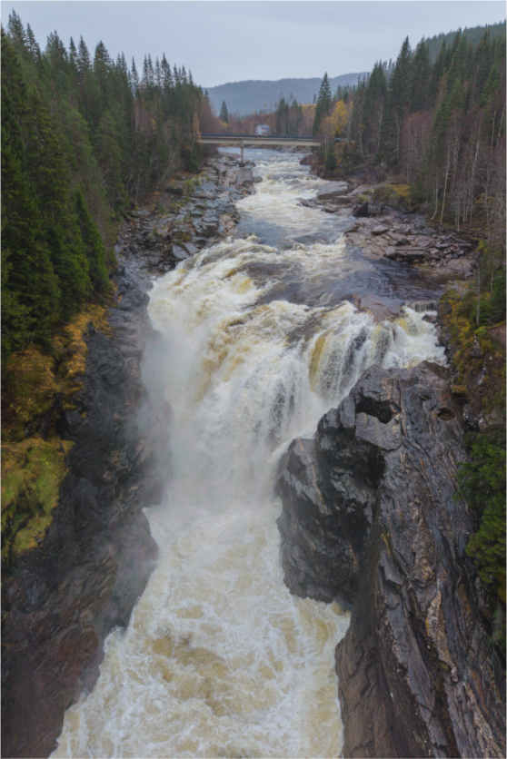 Main image Forest Falls