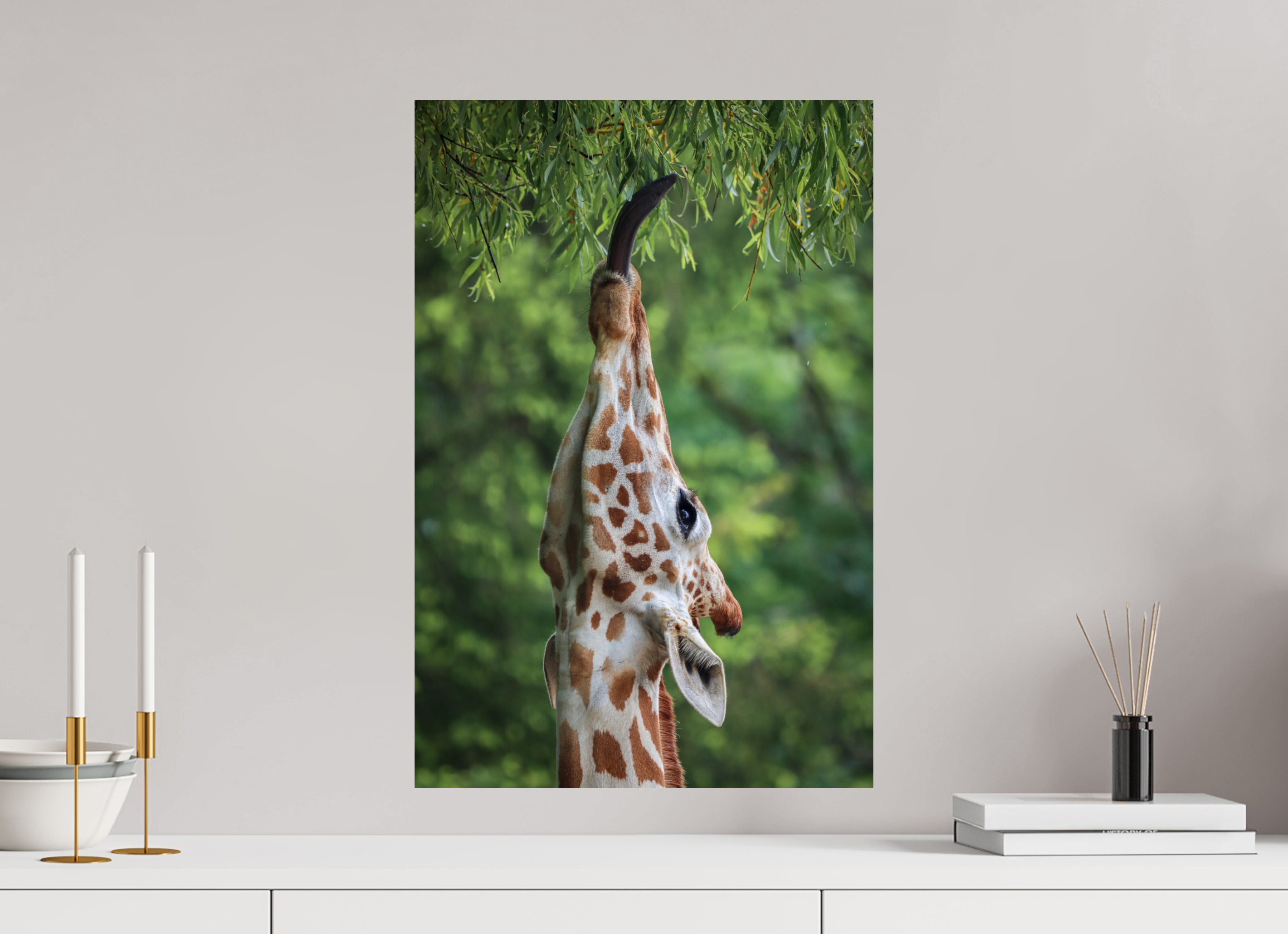 40 x 60 cm, Fine Art Print auf Alu-Dibond Tree Top Snack