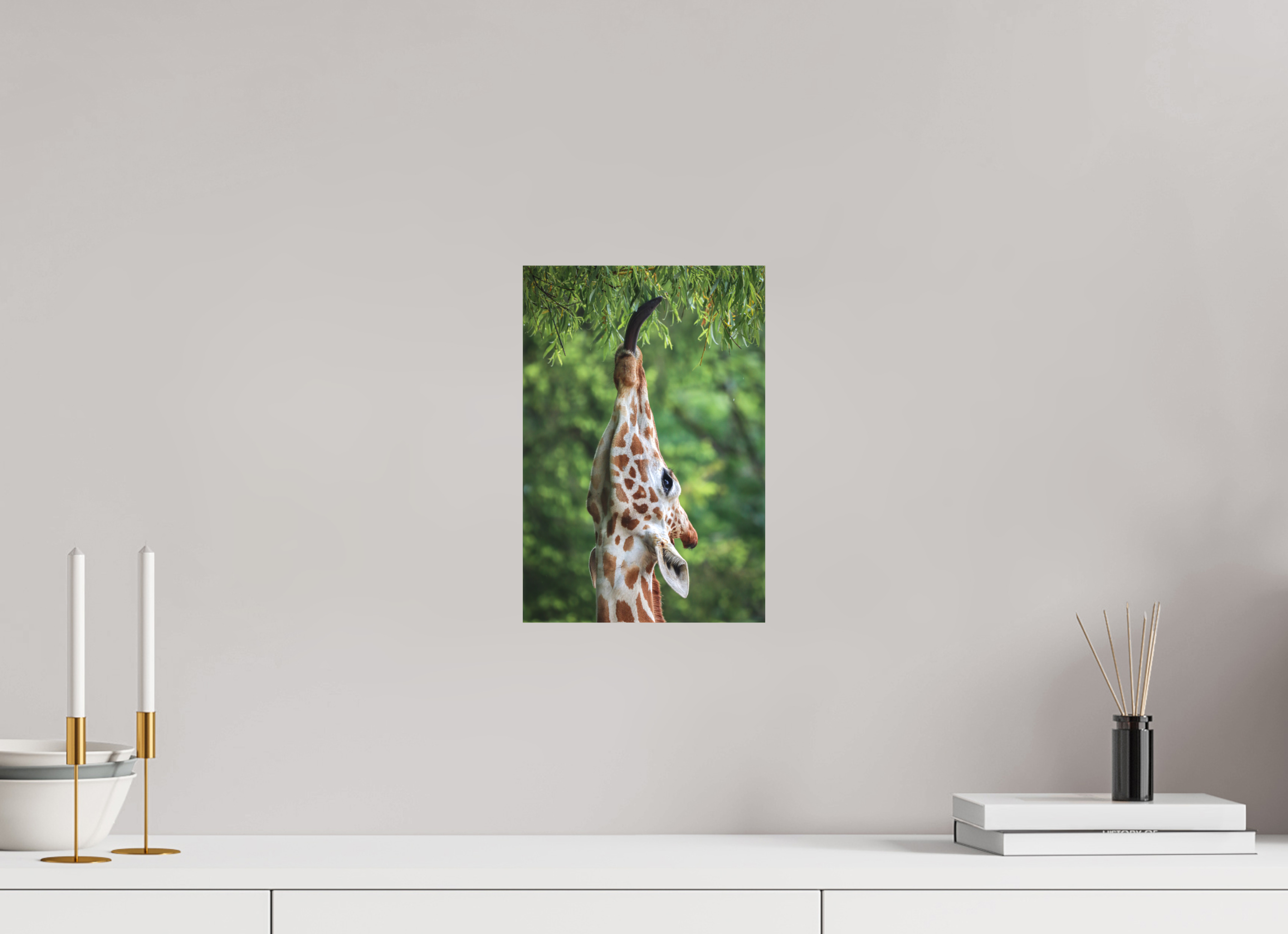 20 x 30 cm, Leinwand Tree Top Snack