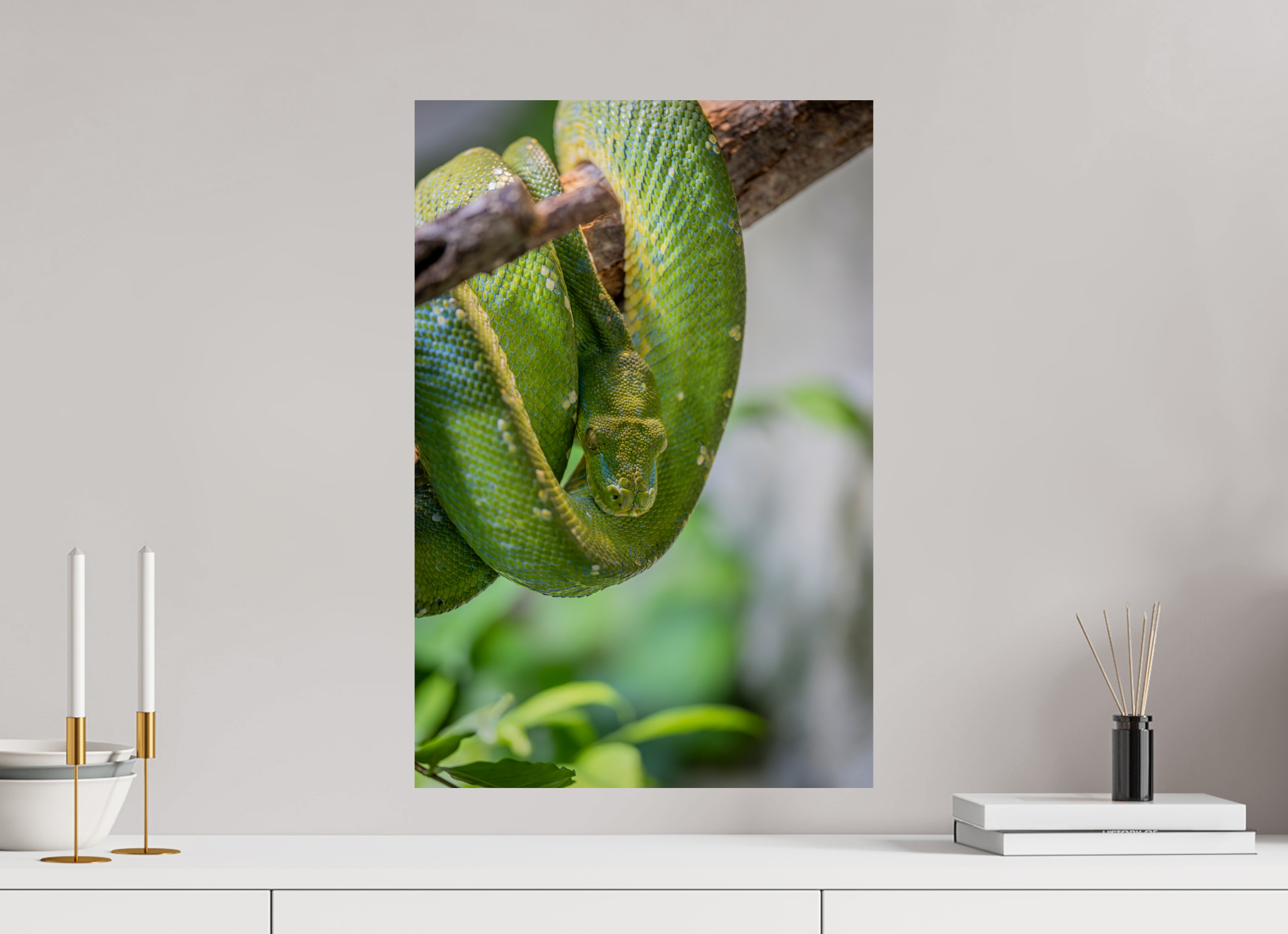 40 x 60 cm, Fine Art Print auf Alu-Dibond Coiled in Green