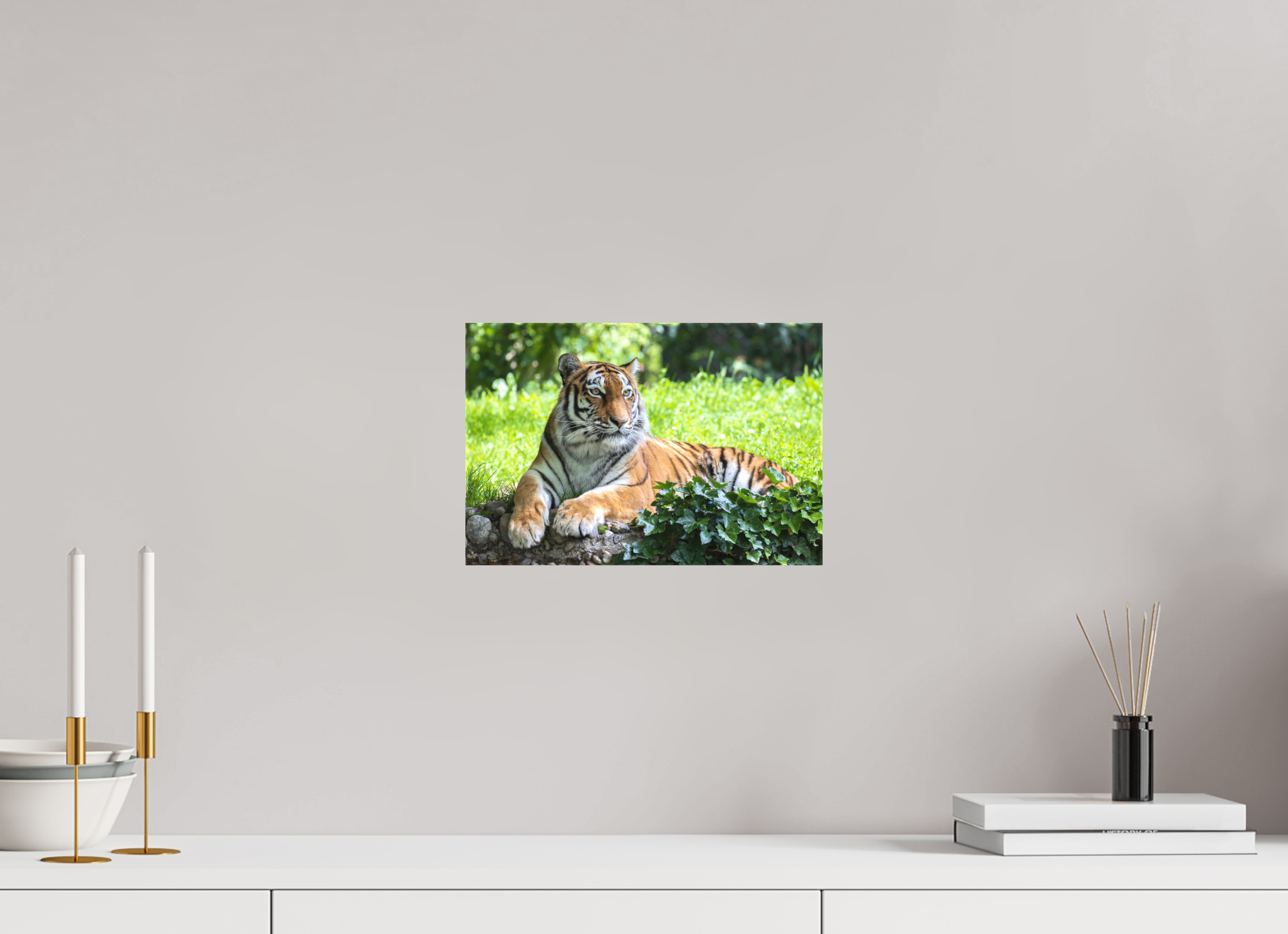 30 x 20 cm, Leinwand Resting Predator