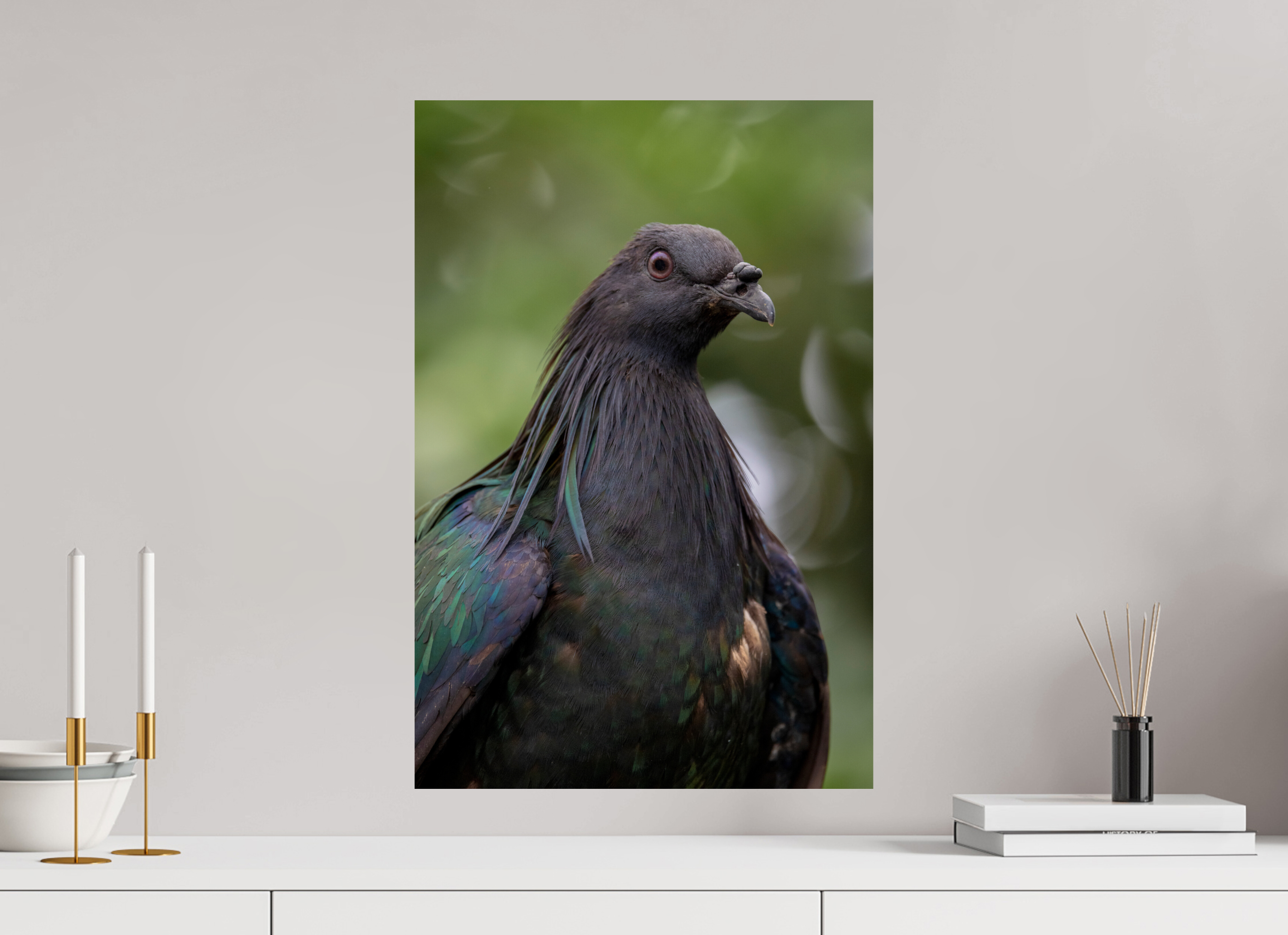 40 x 60 cm, Fine Art Print auf Alu-Dibond Midnight Collar