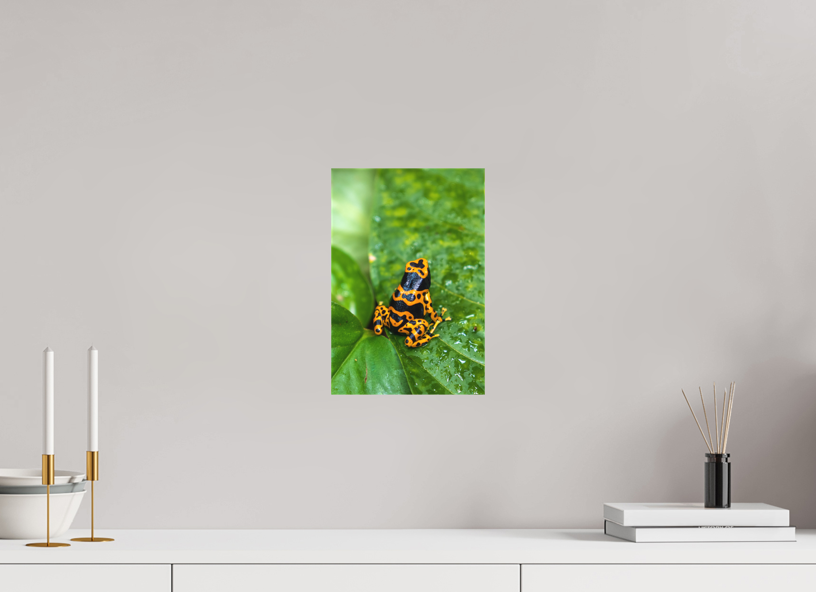 20 x 30 cm, Leinwand Tropical Contrast