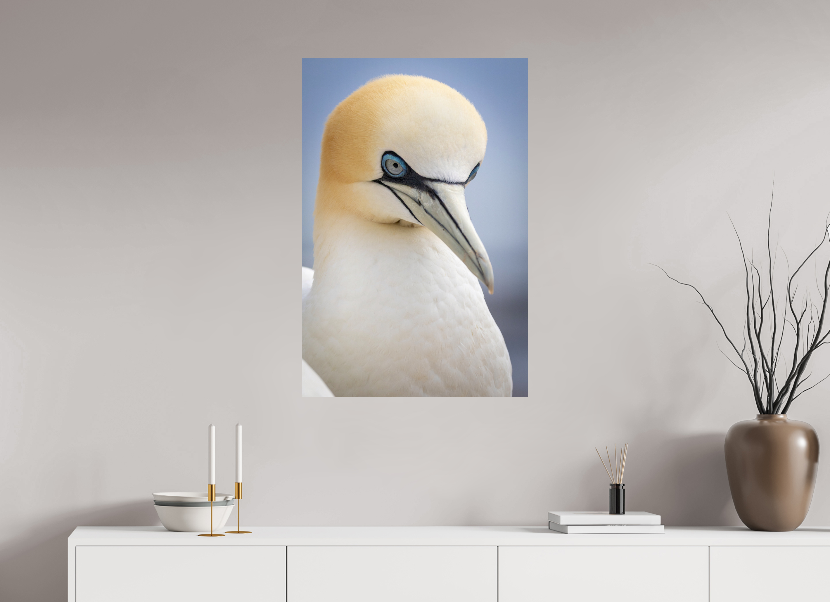 60 x 90 cm, Fine Art Print auf Alu-Dibond Seabird Majesty