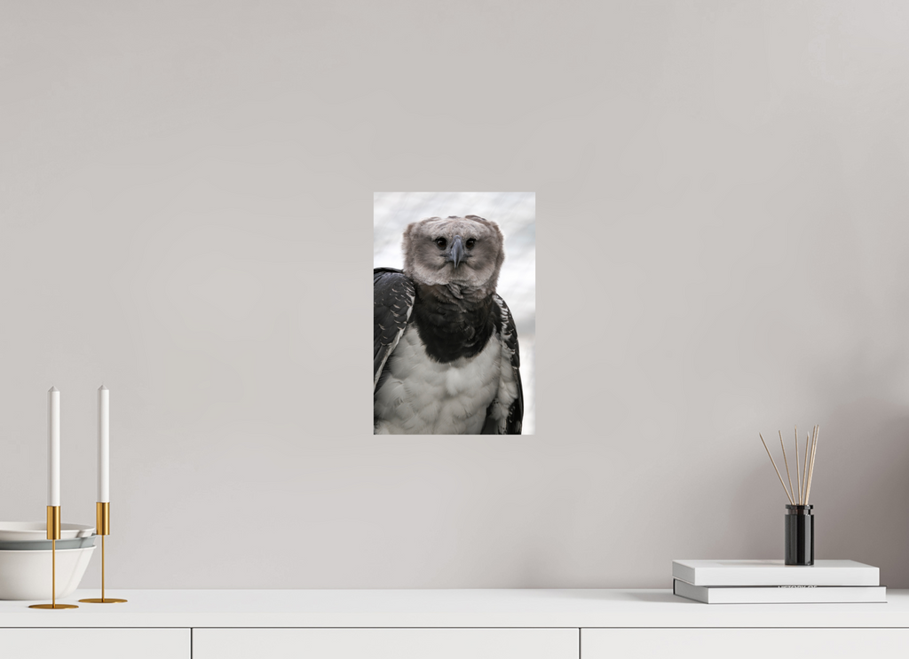 20 x 30 cm, Fine Art Print auf Alu-Dibond Guardian of the Canopy