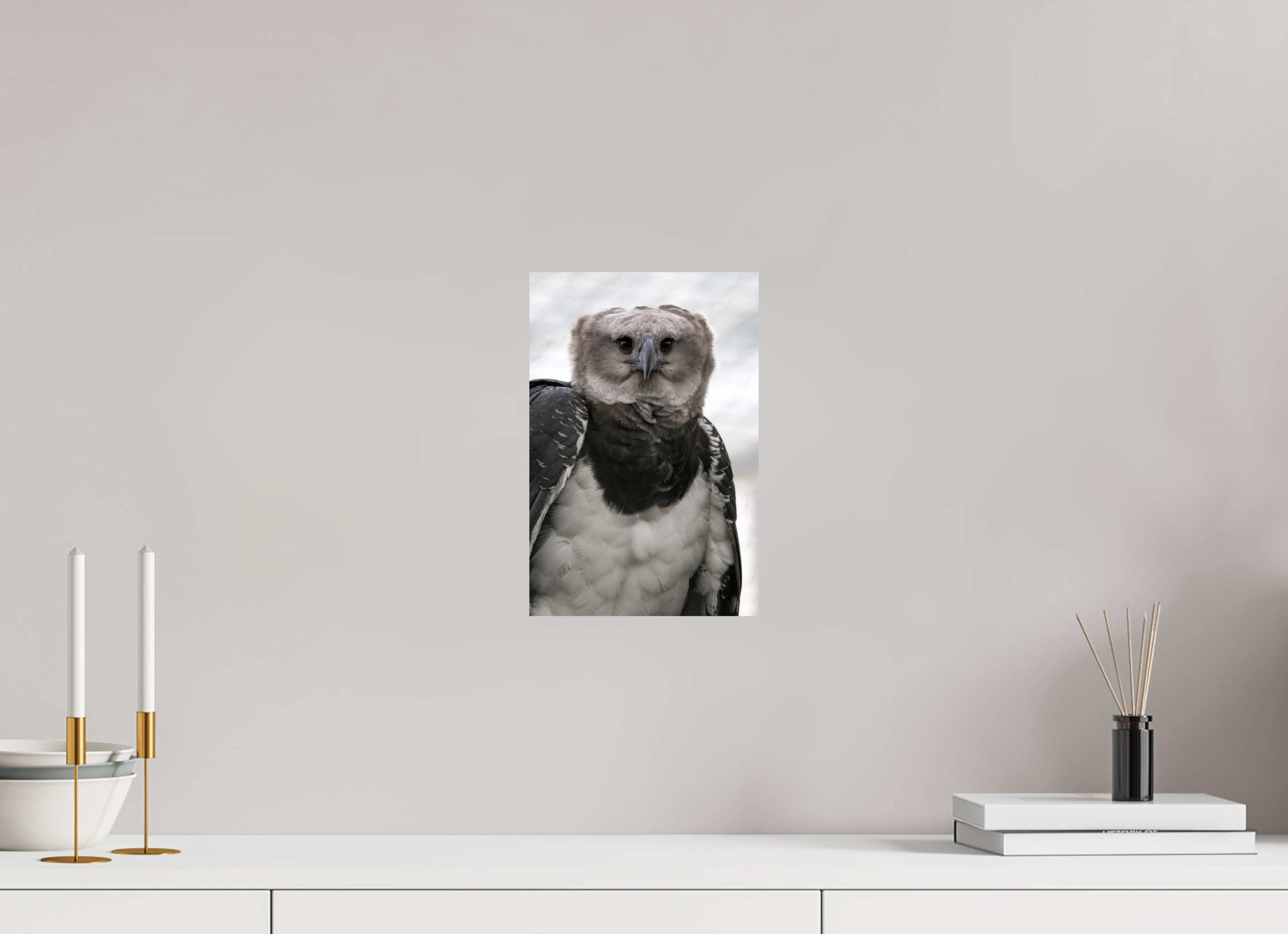 20 x 30 cm, Fine Art Print auf Alu-Dibond Guardian of the Canopy