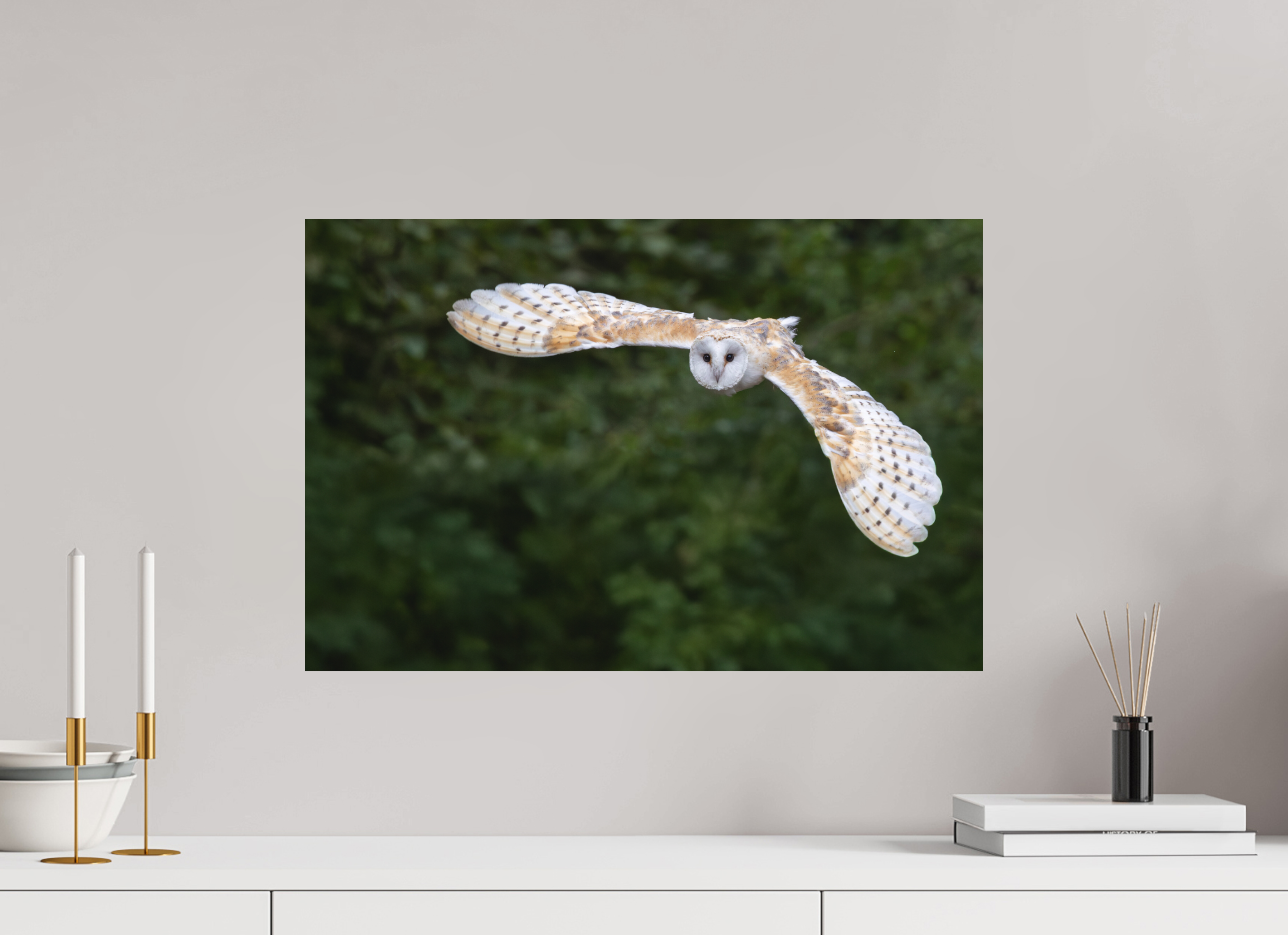 60 x 40 cm, Fine-Art Print Matt Silent Flight
