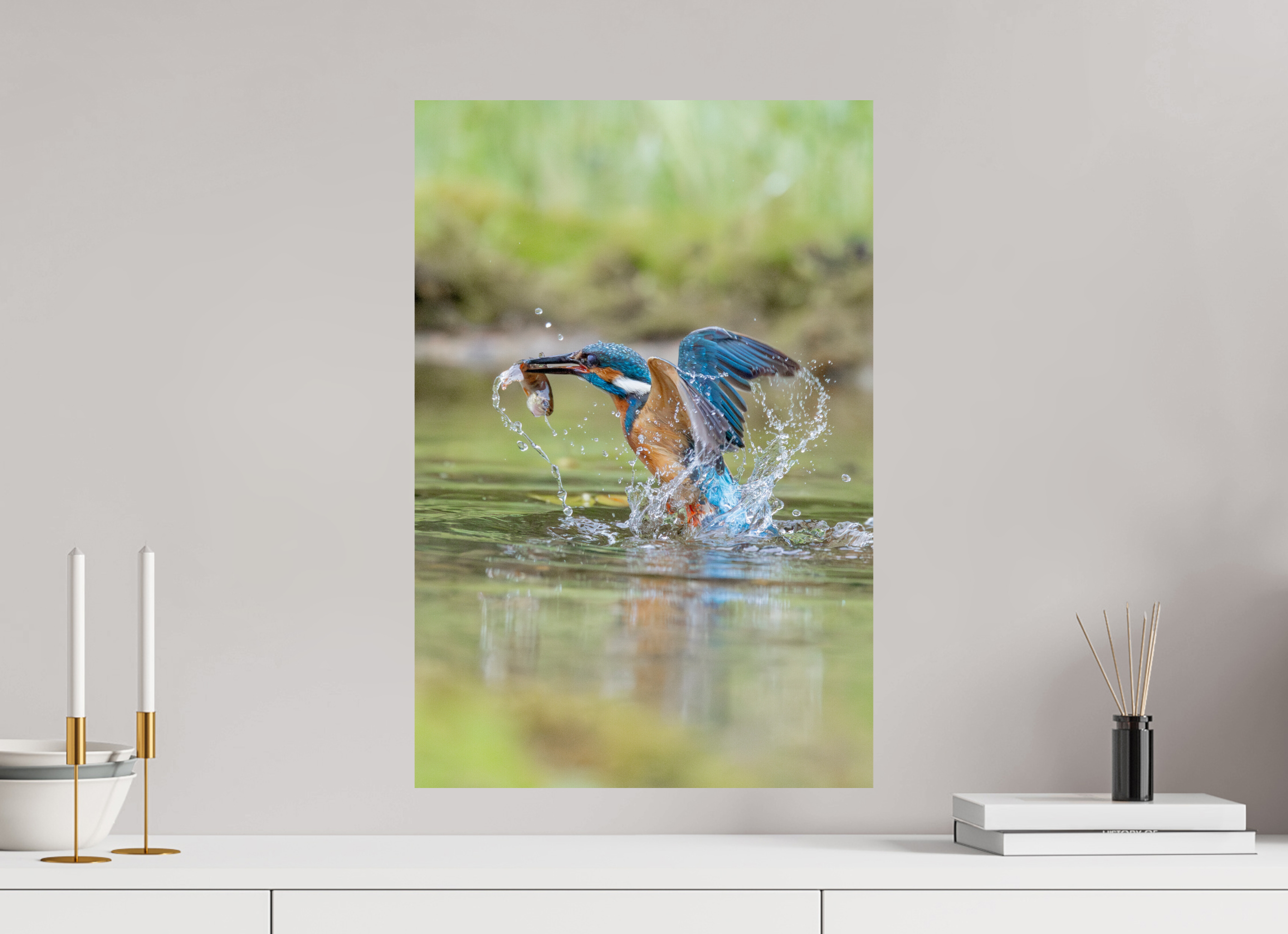 40 x 60 cm, Fine Art Print auf Alu-Dibond Catch of the Day