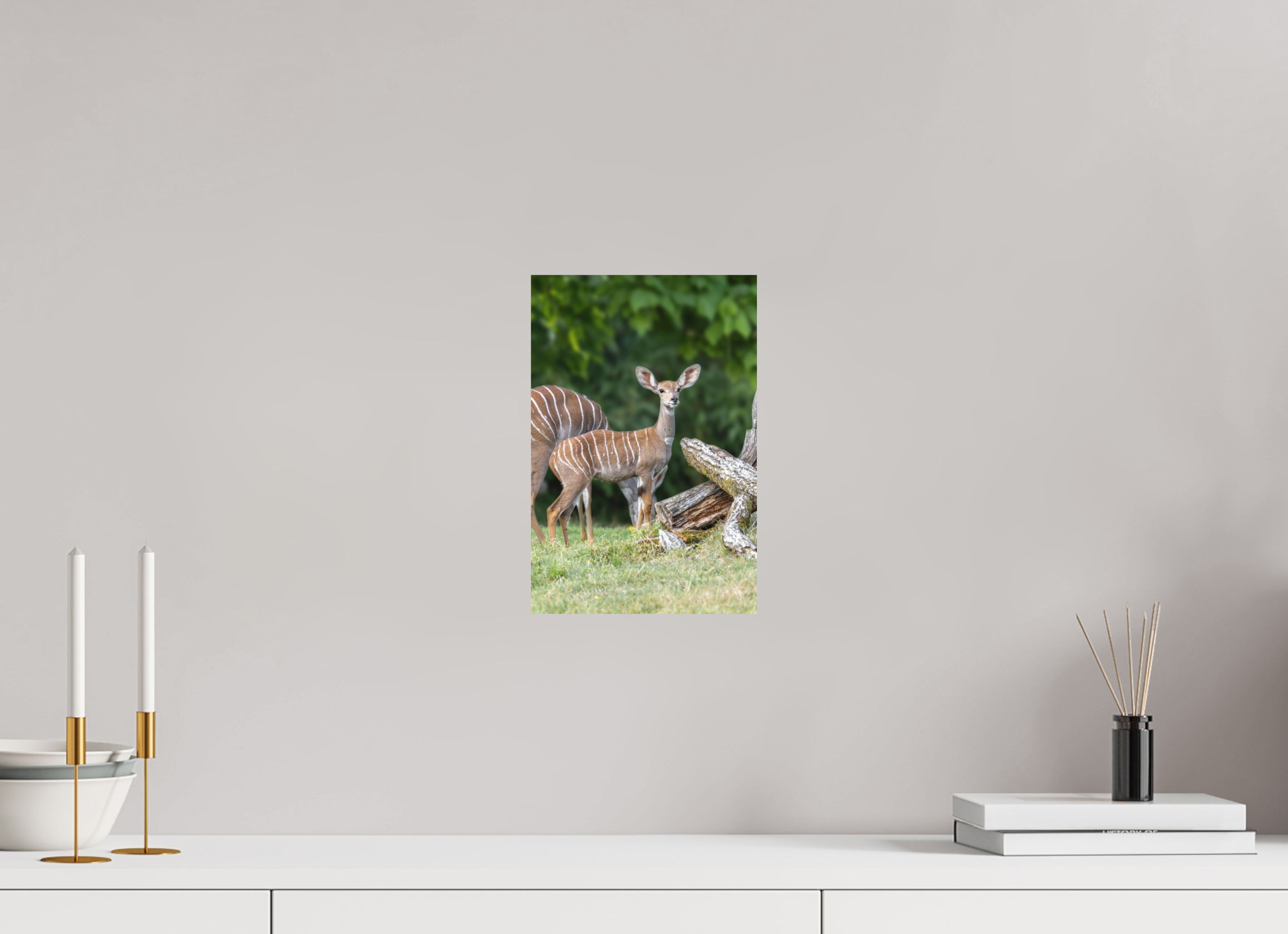 20 x 30 cm, Fine-Art Print Matt Gentle Youth