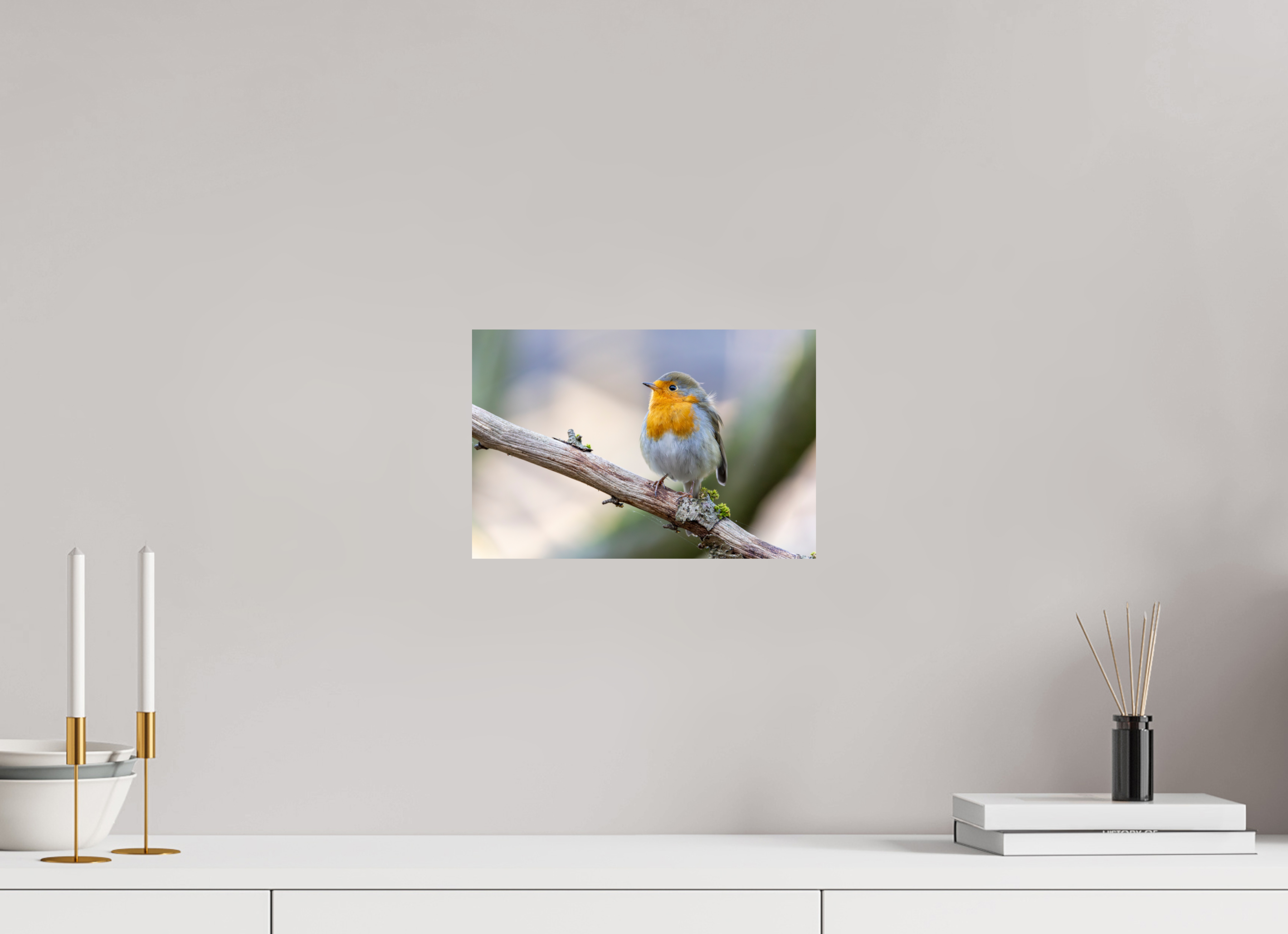 30 x 20 cm, Fine Art Print auf Alu-Dibond Gentle Watcher