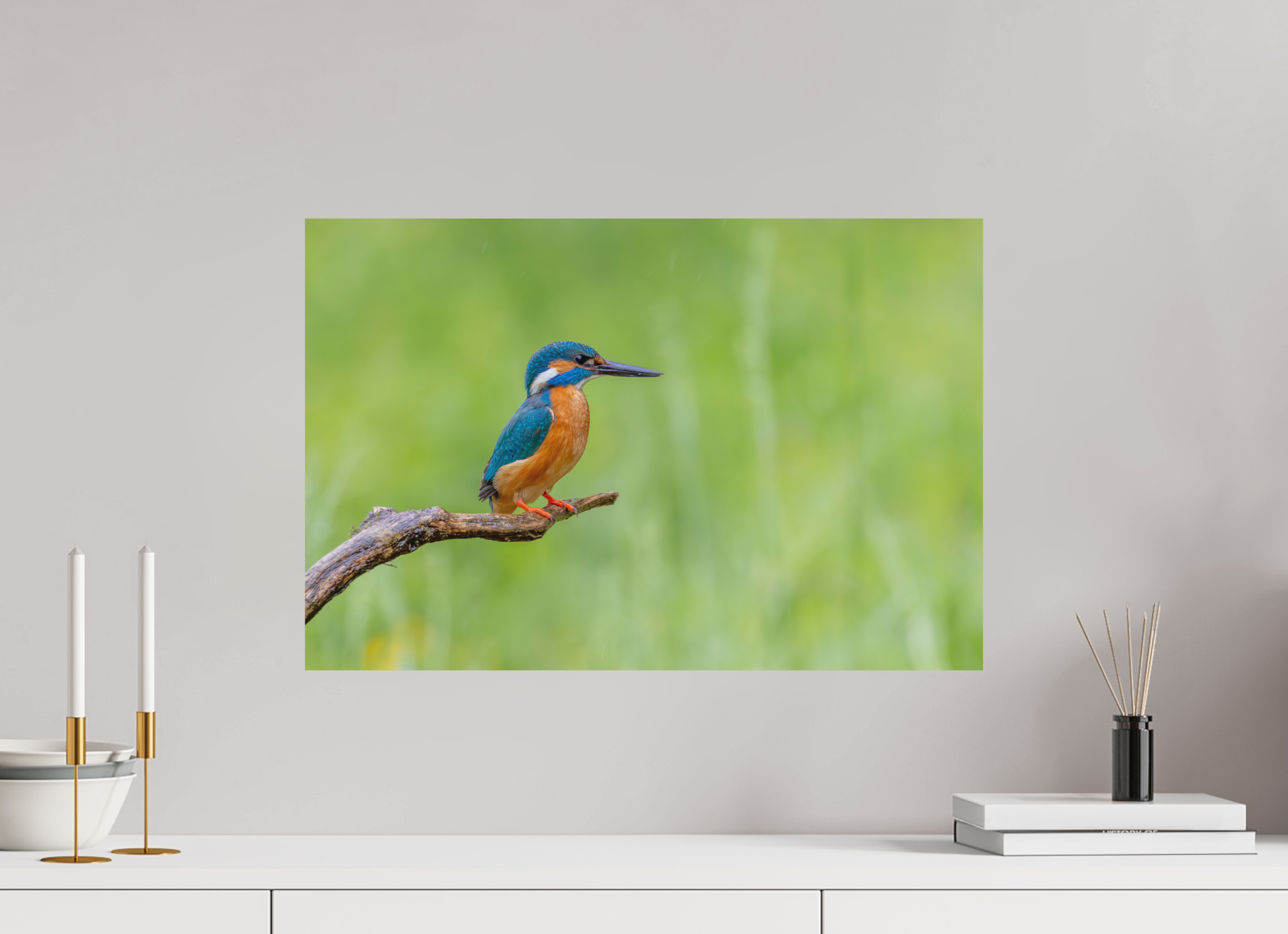 60 x 40 cm, Fine-Art Matt Silent Watcher