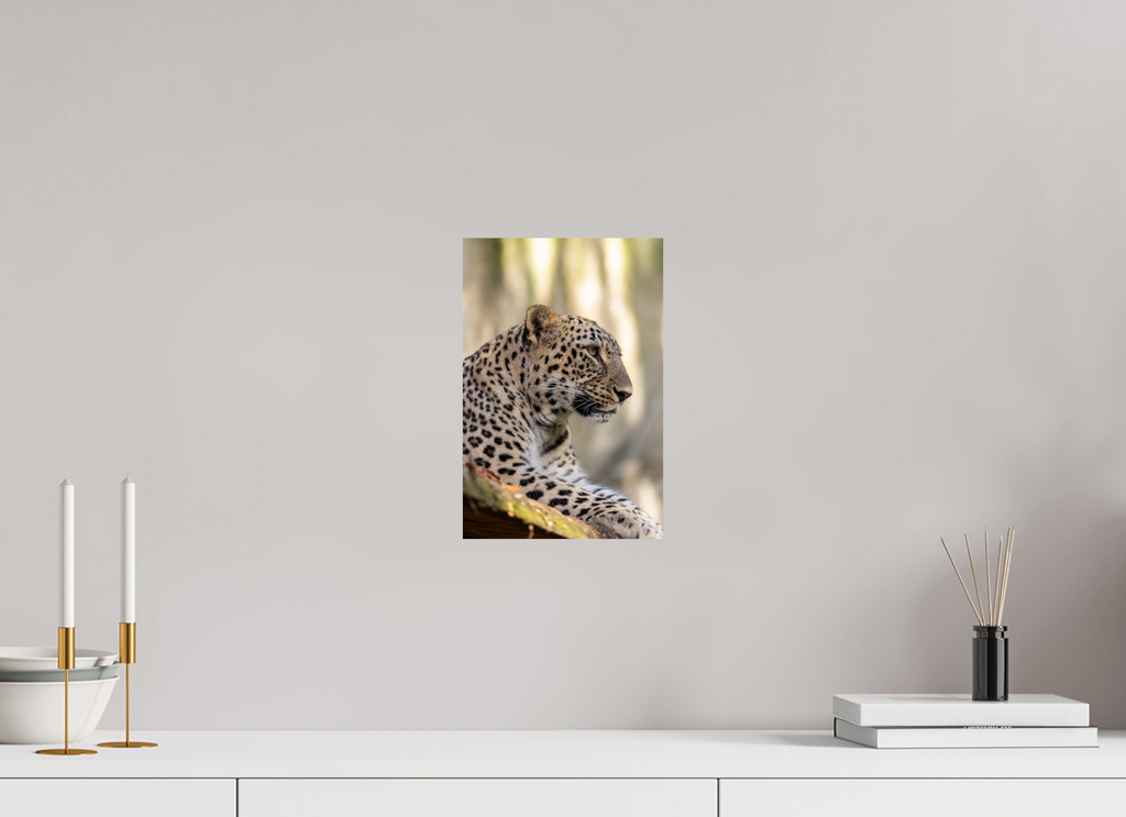 20 x 30 cm, Fine Art Print auf Alu-Dibond Silent Watch