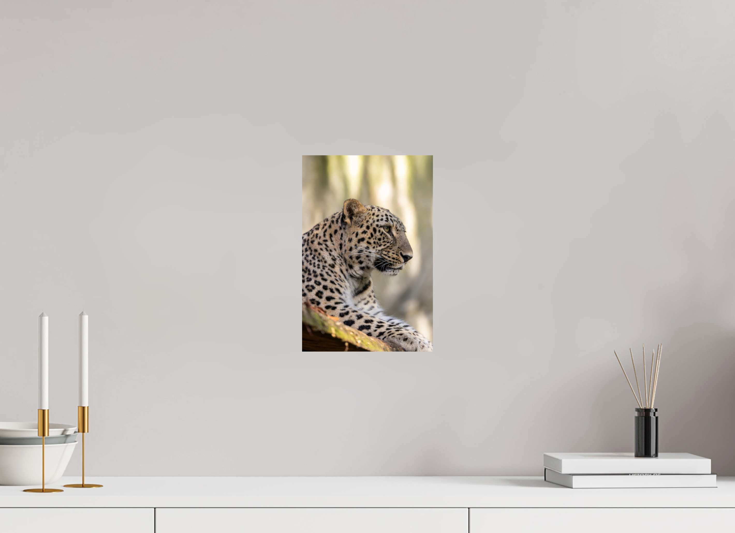 20 x 30 cm, Fine Art Print auf Alu-Dibond Silent Watch