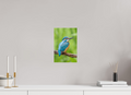 20 x 30 cm, Fine-Art Matt Natures Jewel