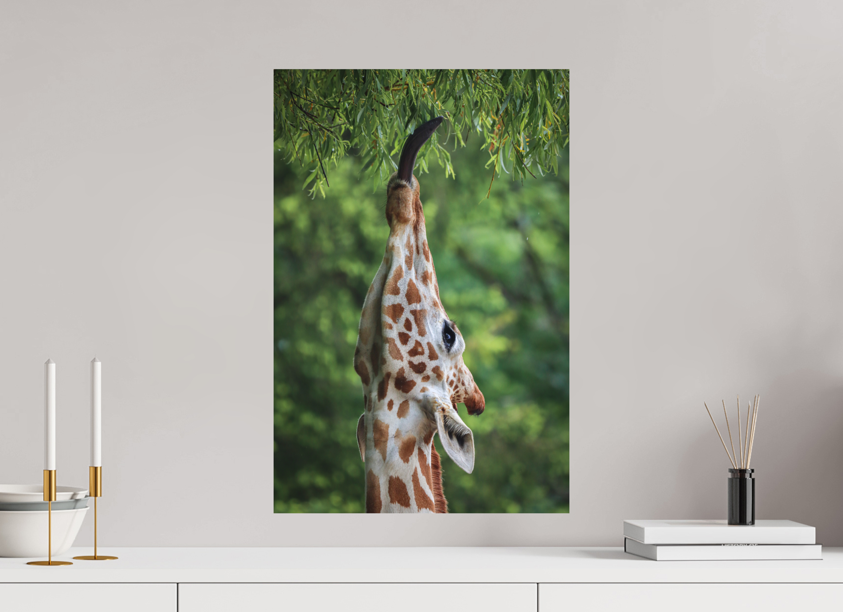 40 x 60 cm, Fine-Art Print Matt Tree Top Snack