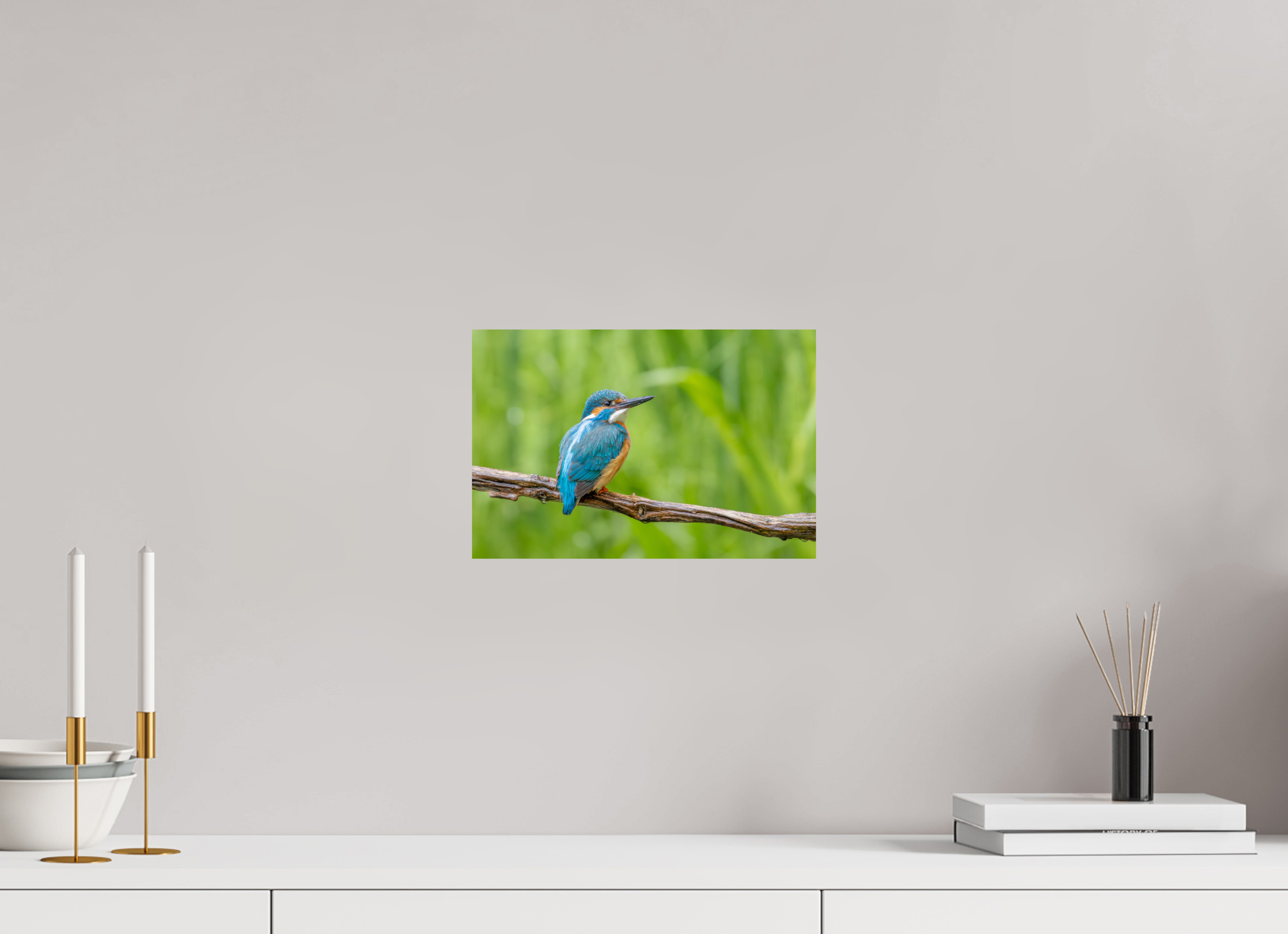 30 x 20 cm, Fine Art Print auf Alu-Dibond Nature's Jewel