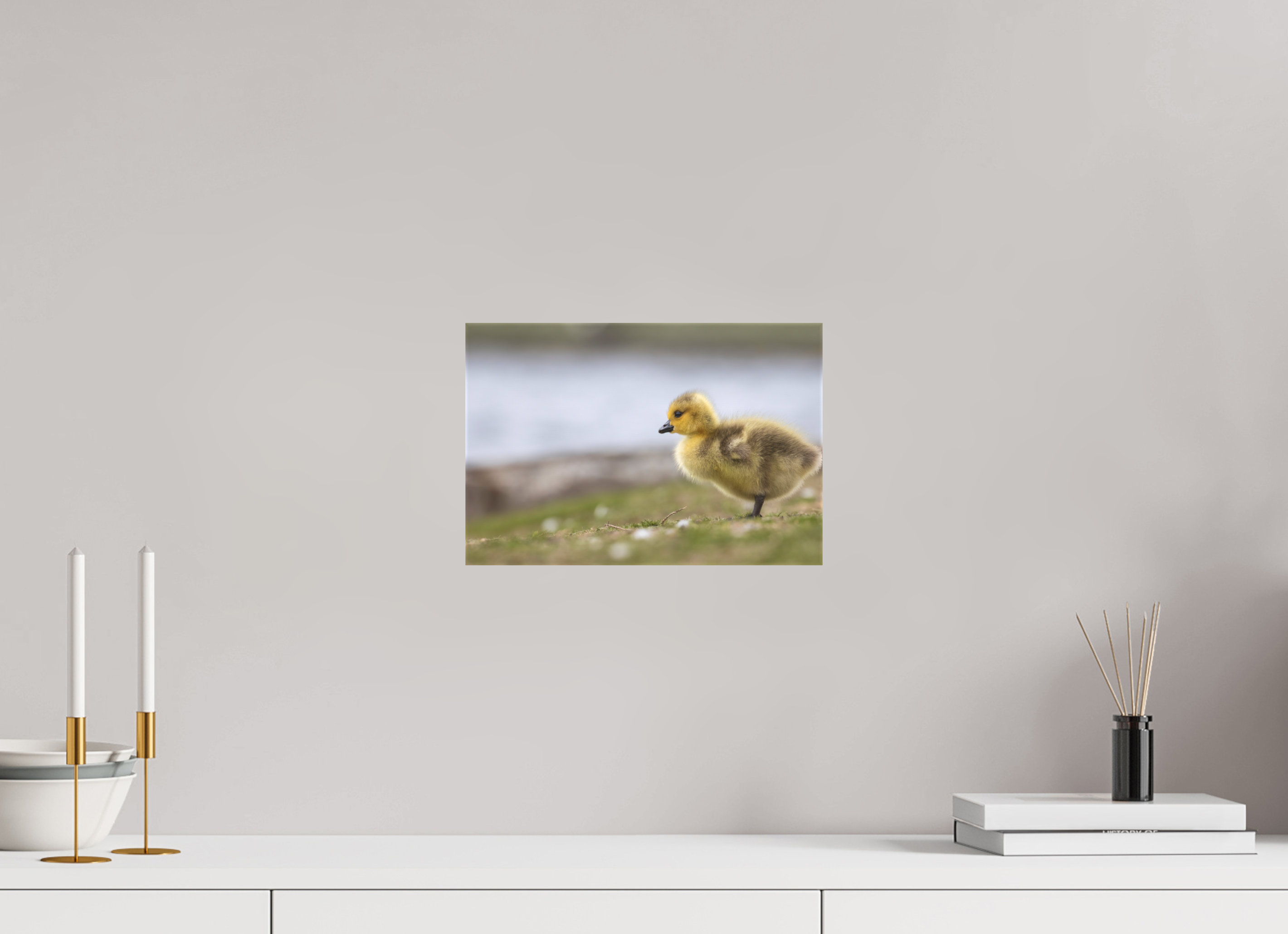 30 x 20 cm, Leinwand Golden Fluff