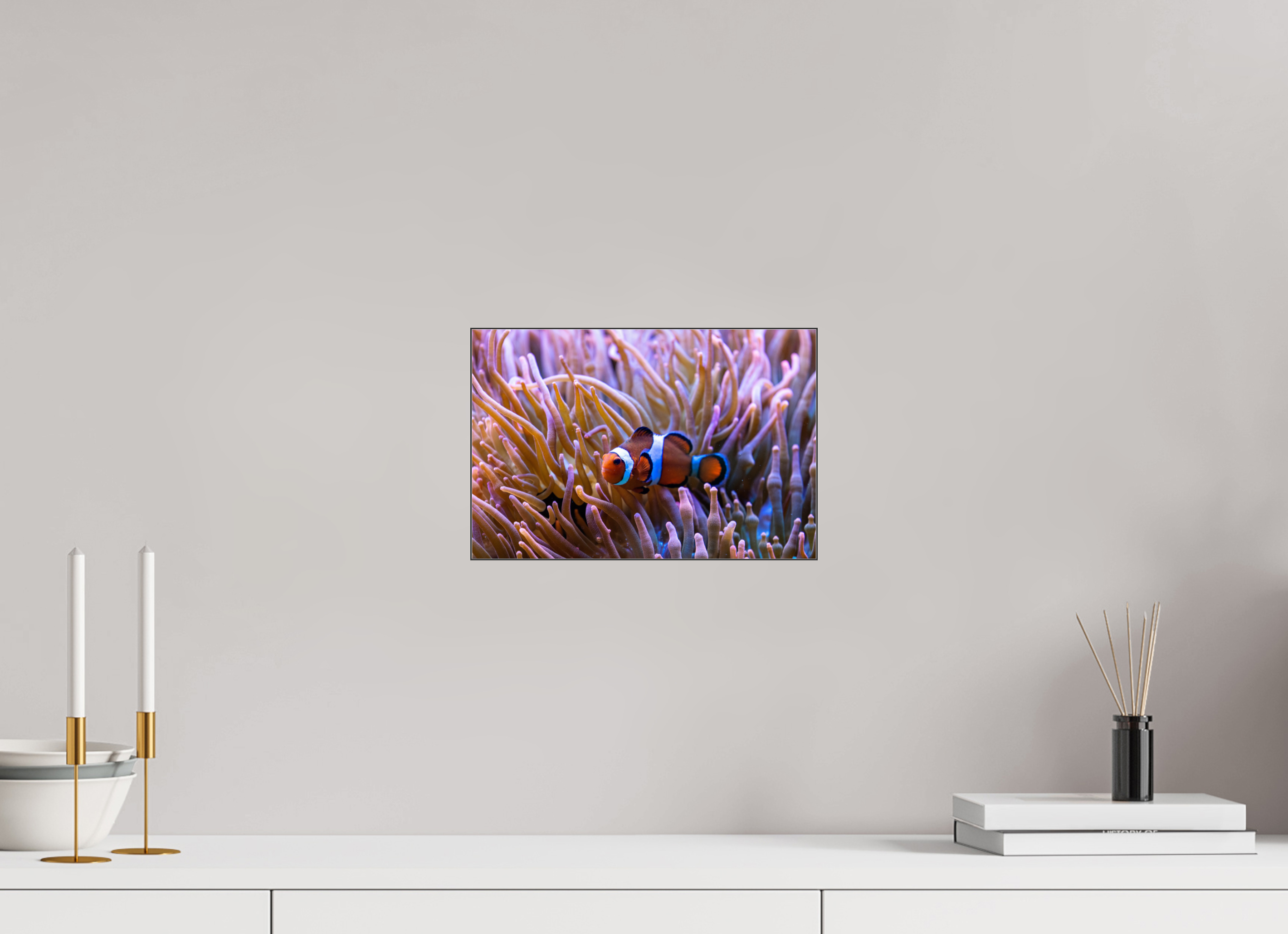 30 x 20 cm, Foto-Abzug hinter Acrylglas glänzend Reef Life