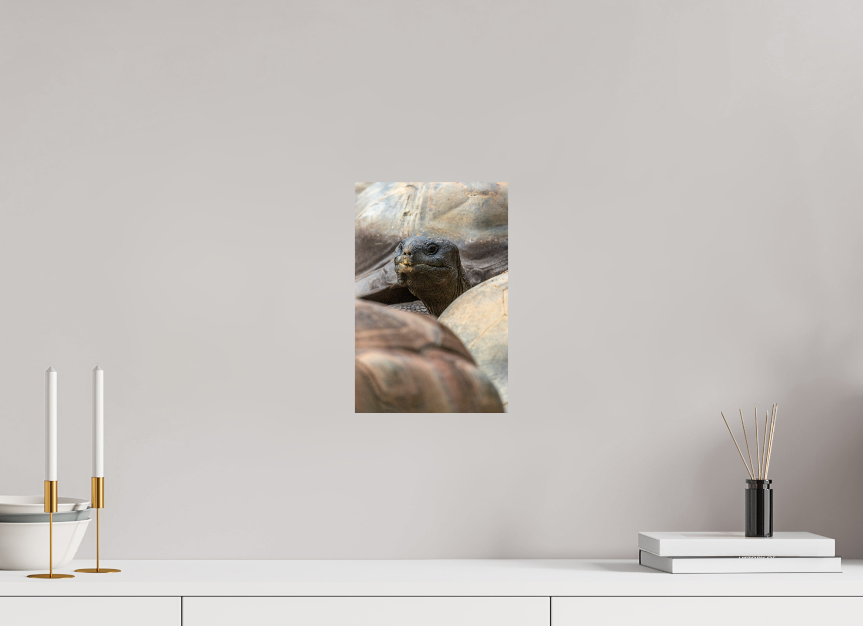 20 x 30 cm, Fine Art Print auf Alu-Dibond Peekaboo Giant