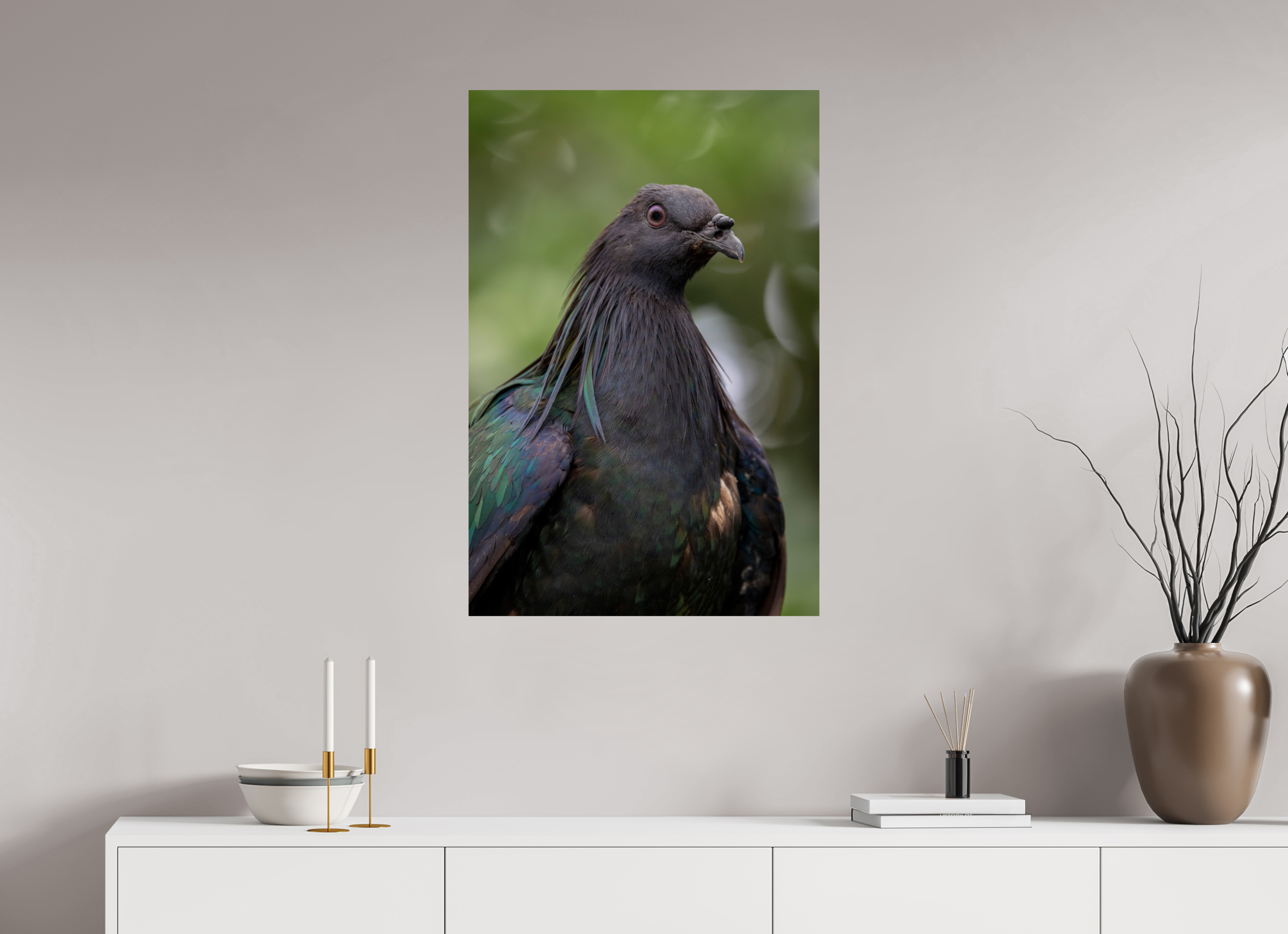 60 x 90 cm, Fine Art Print auf Alu-Dibond Midnight Collar