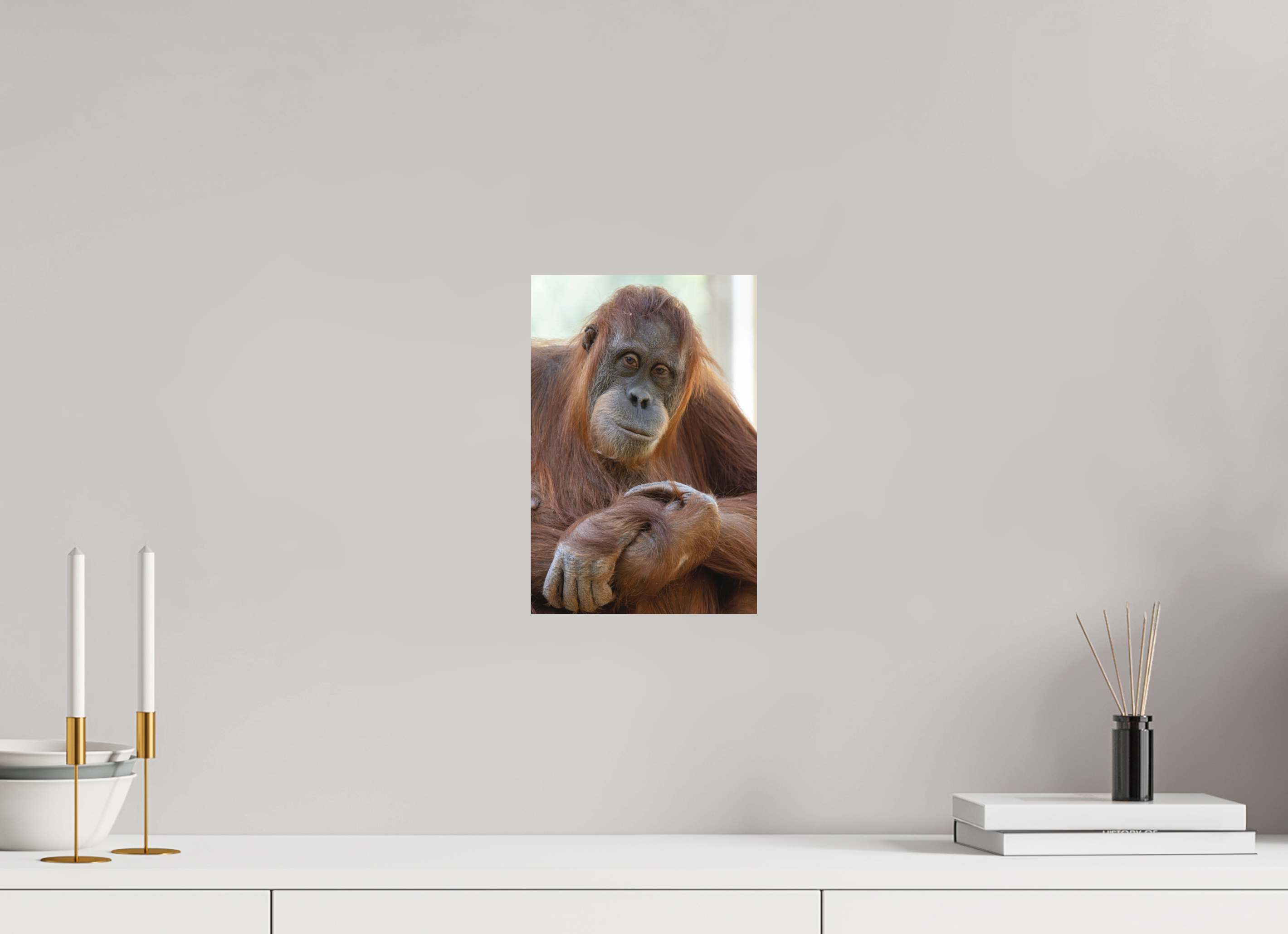 20 x 30 cm, Fine-Art Print Matt Soulful Gaze