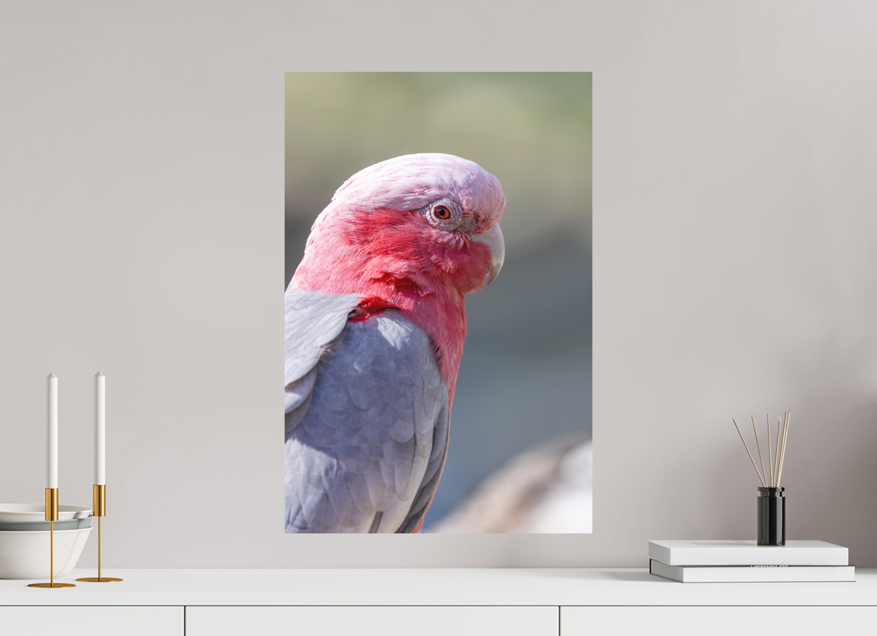 40 x 60 cm, Fine-Art Print Matt Pink Elegance
