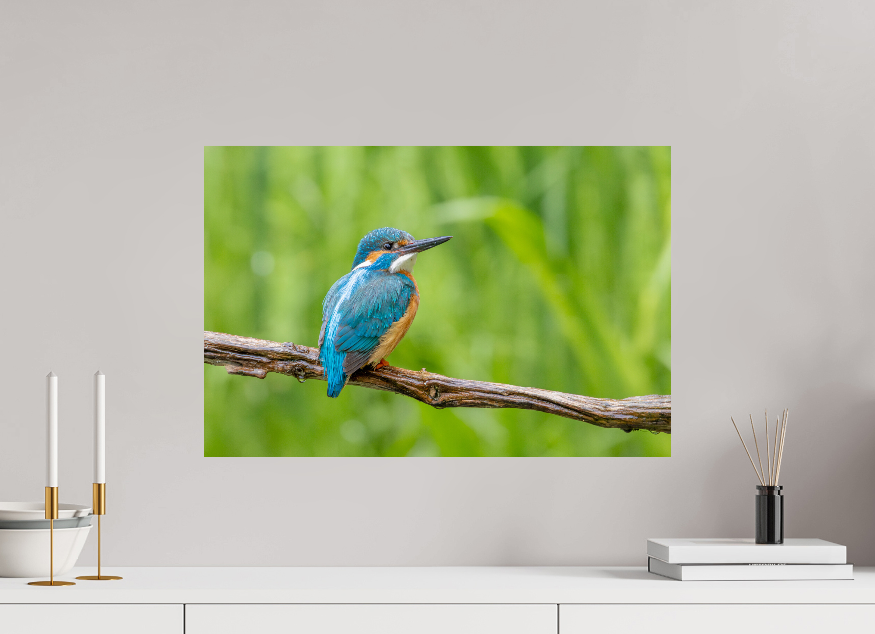 60 x 40 cm, Fine Art Print auf Alu-Dibond Nature's Jewel