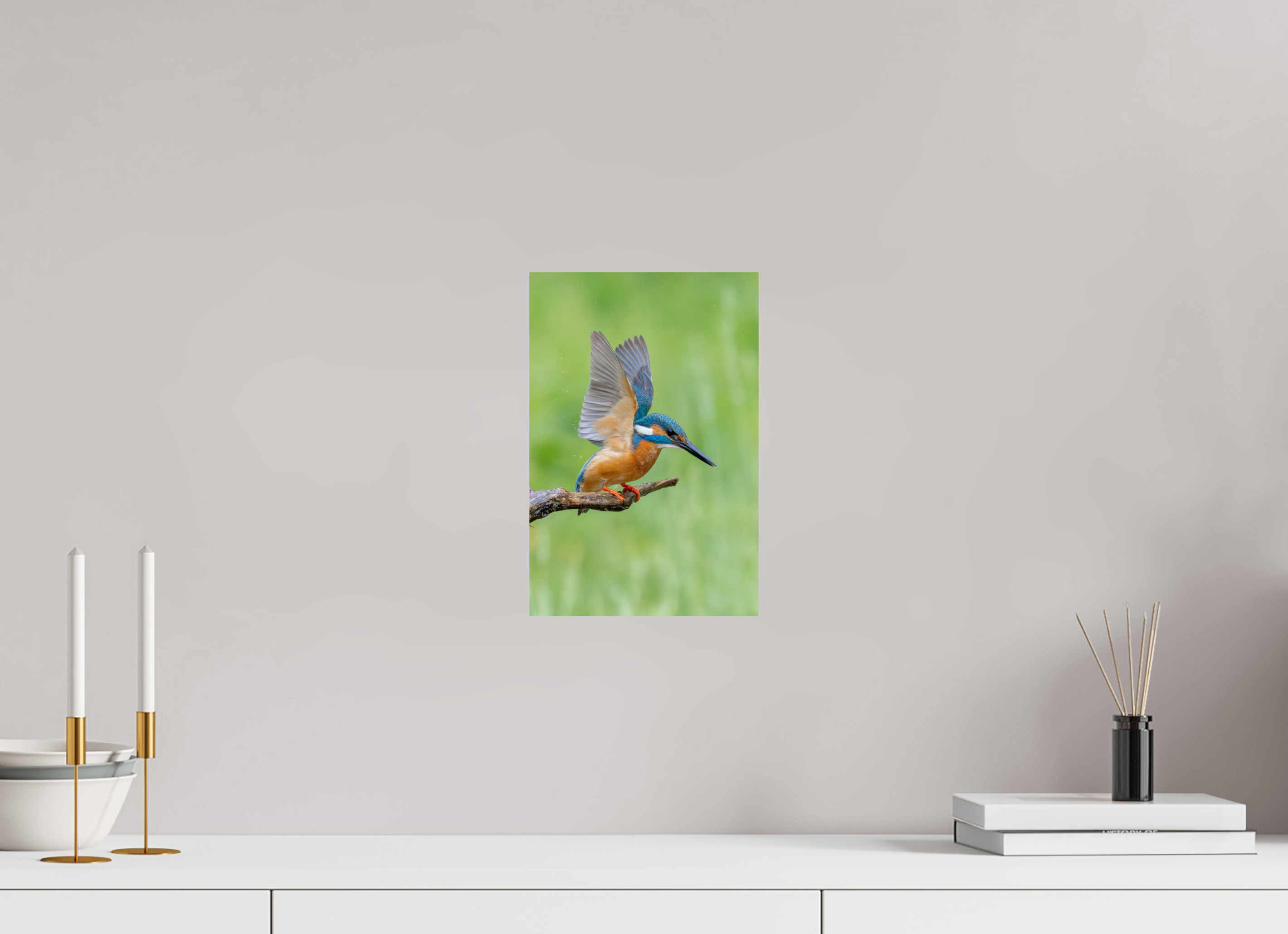 20 x 30 cm, Fine Art Print auf Alu-Dibond Emerald Wings