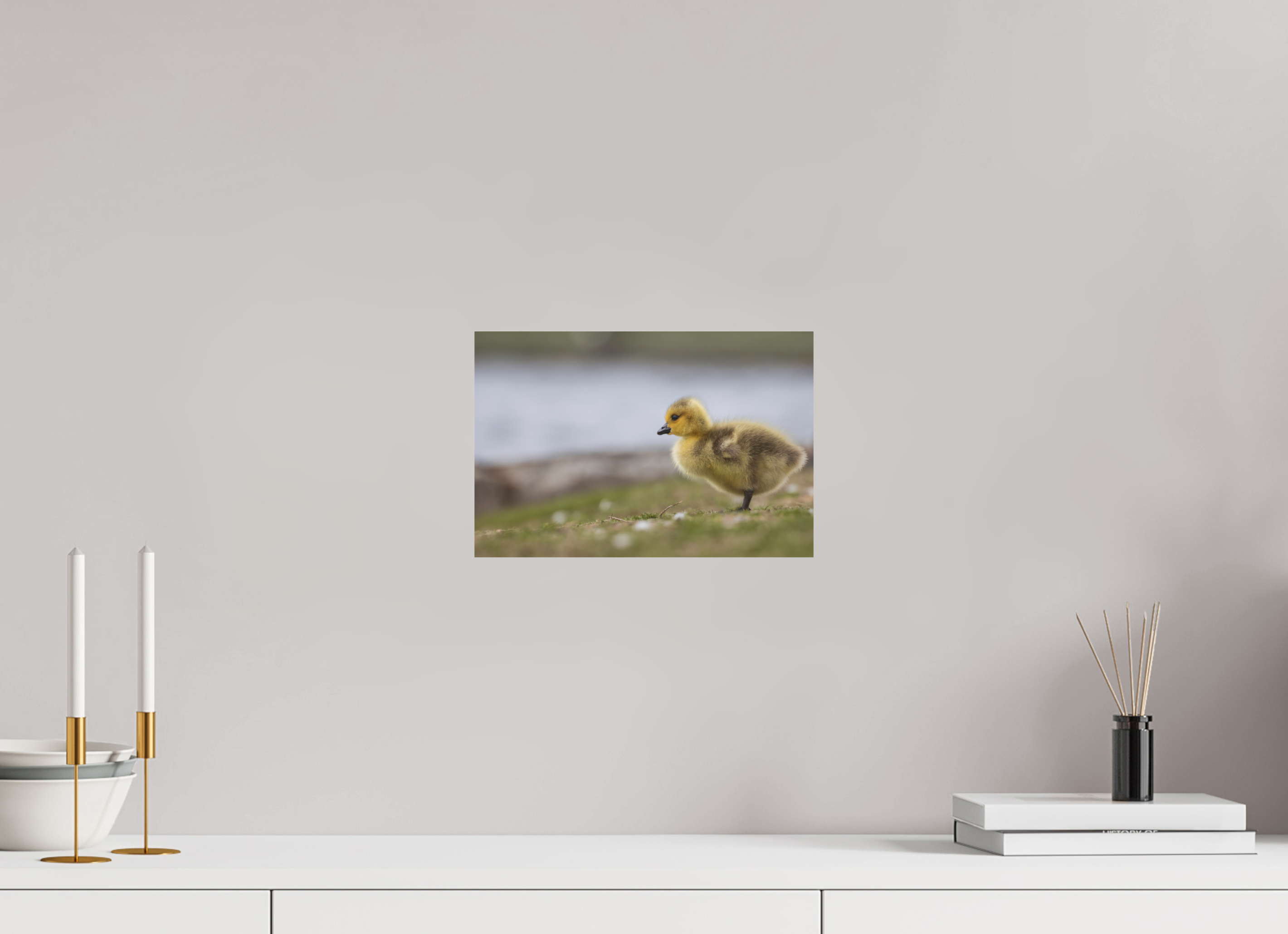 30 x 20 cm, Fine-Art Matt Golden Fluff