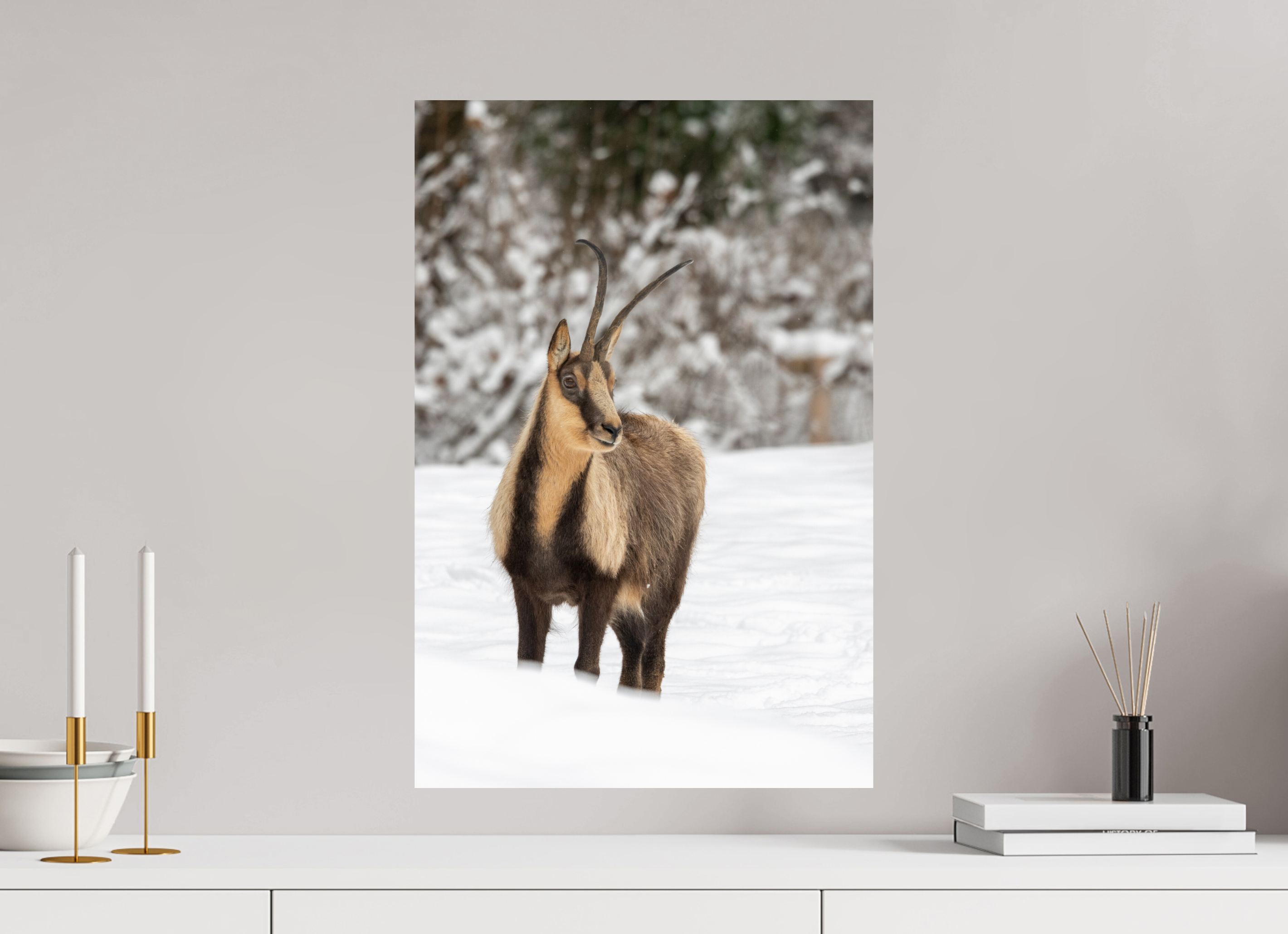 40 x 60 cm, Fine Art Print auf Alu-Dibond Alpine Grace