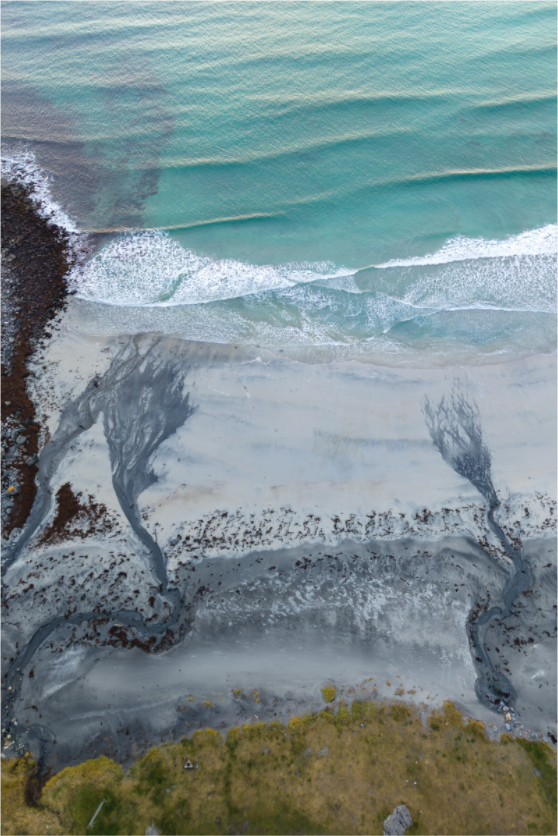 Main image Coastal Harmony