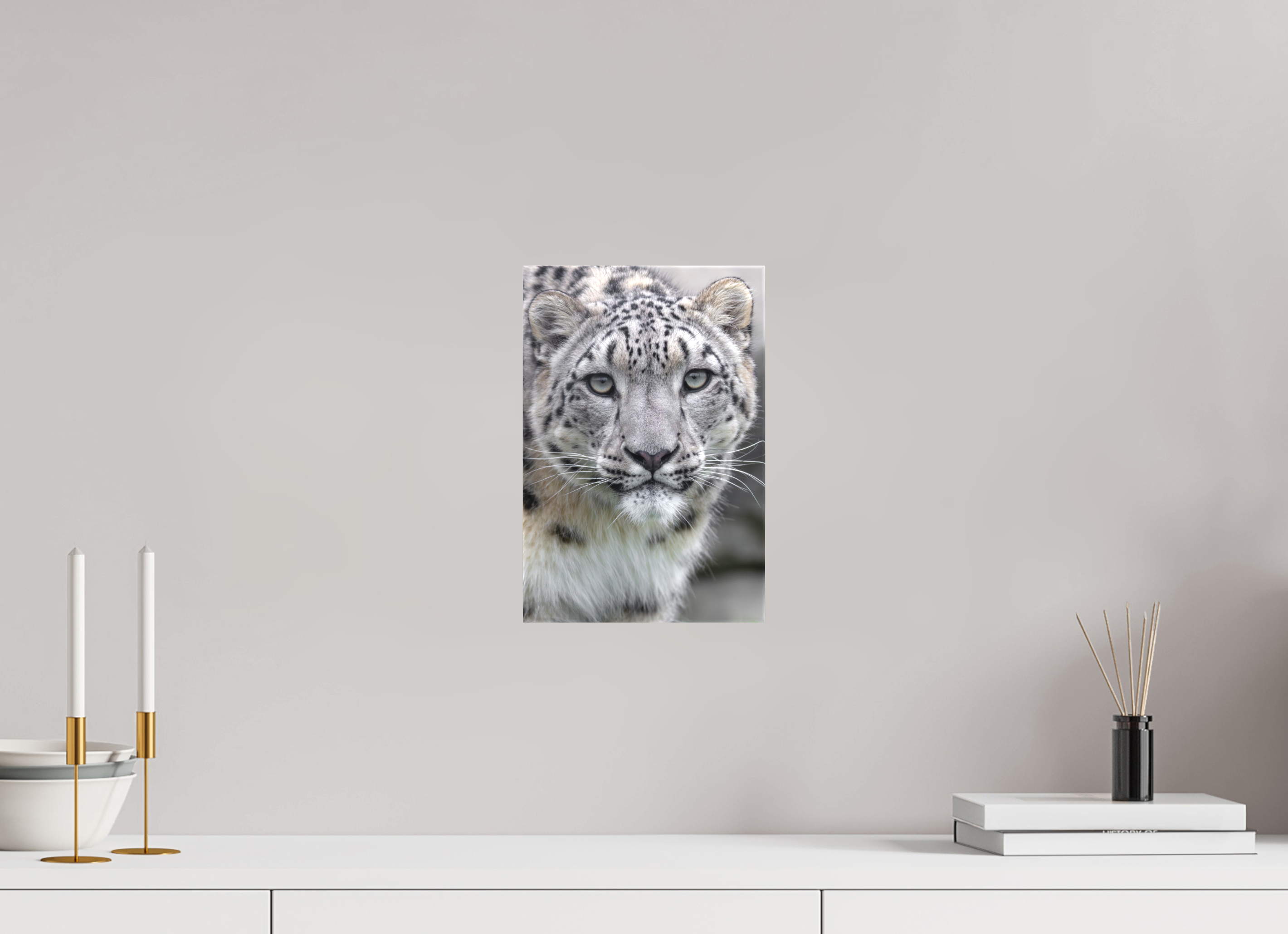 20 x 30 cm, Leinwand Gentle Curiosity