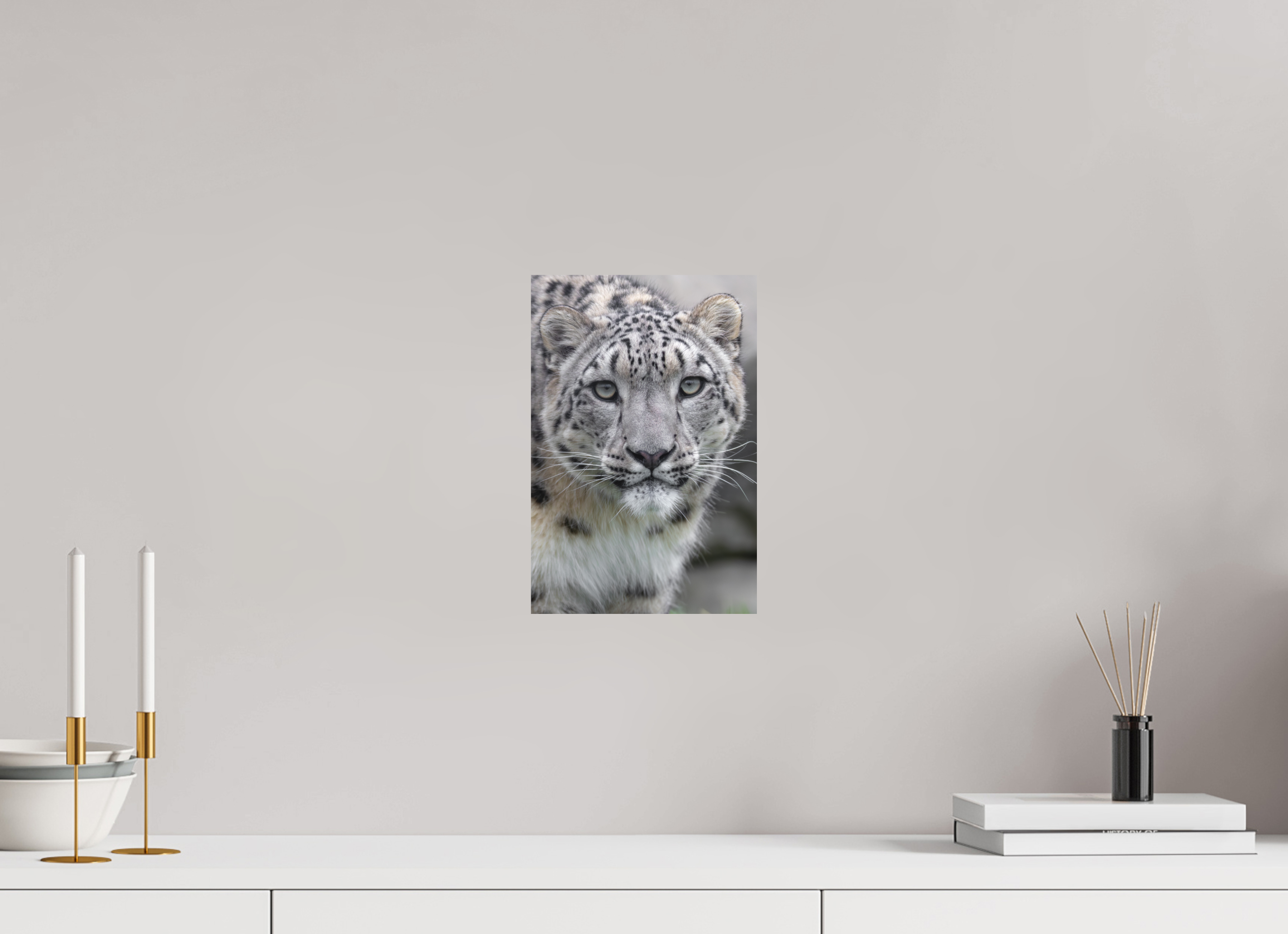 20 x 30 cm, Fine-Art Print Matt Gentle Curiosity