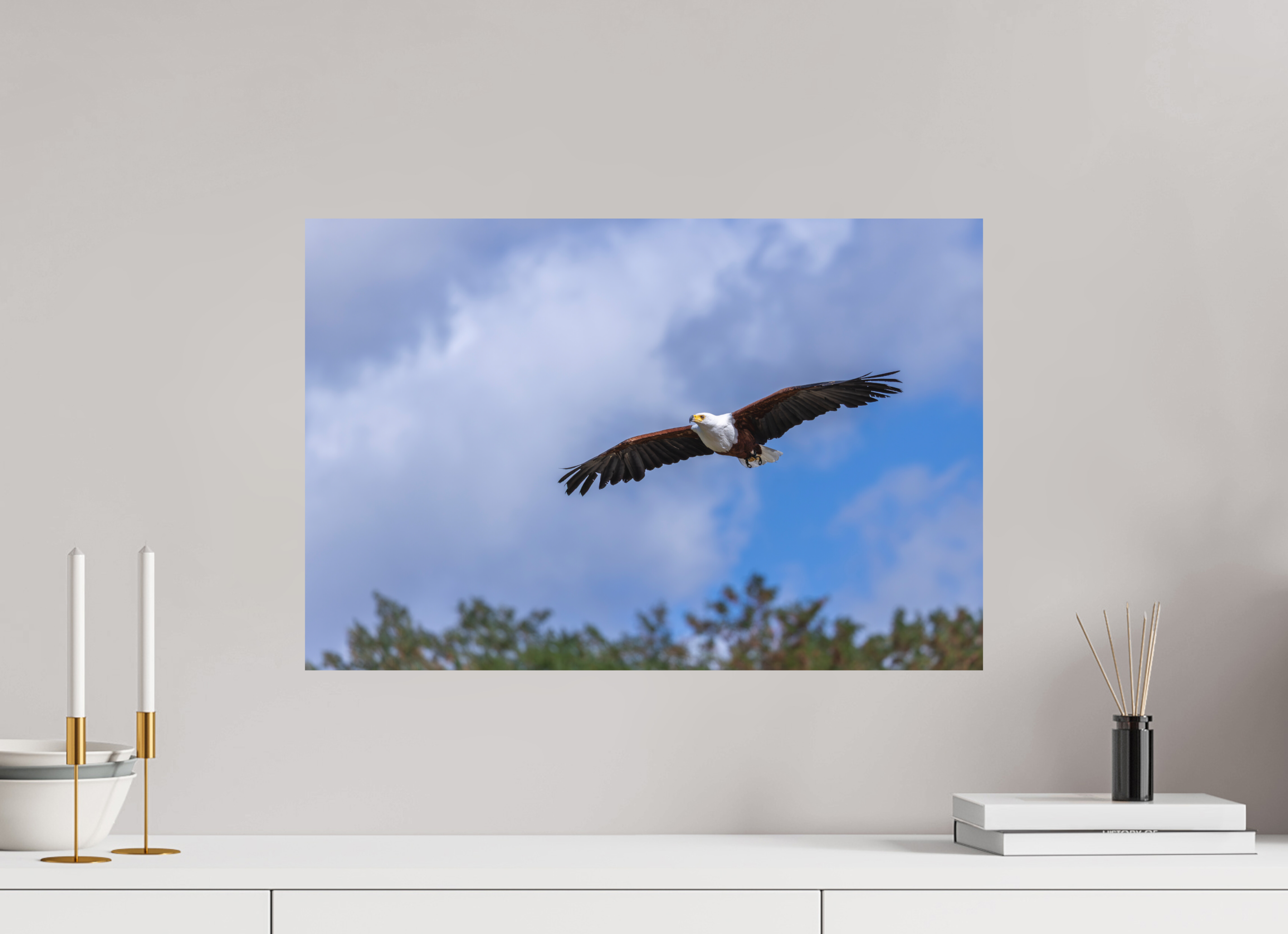 60 x 40 cm, Fine-Art Print Matt Wings of Africa