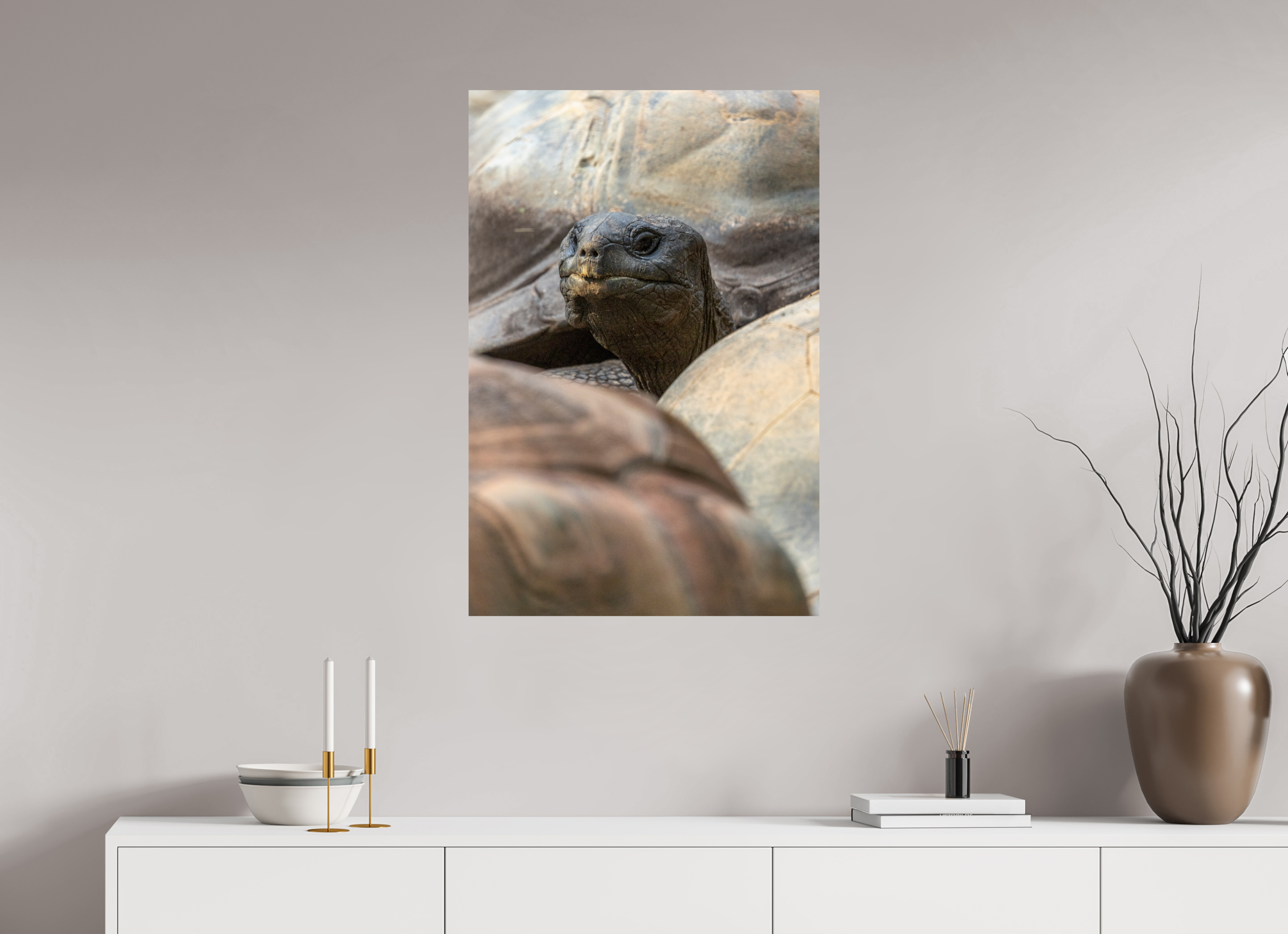 60 x 90 cm, Fine Art Print auf Alu-Dibond Peekaboo Giant