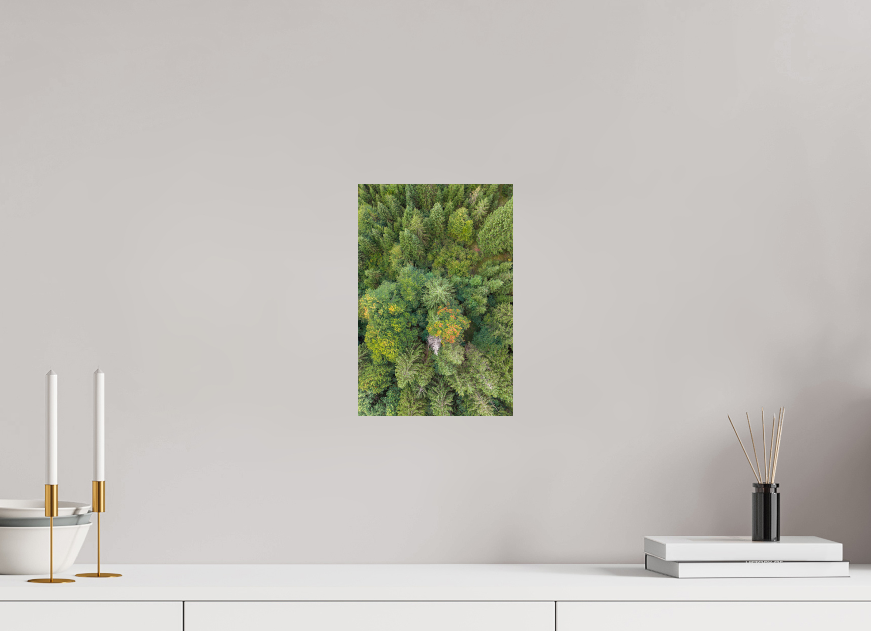 20 x 30 cm, Fine Art Print auf Alu-Dibond Vertical Pines