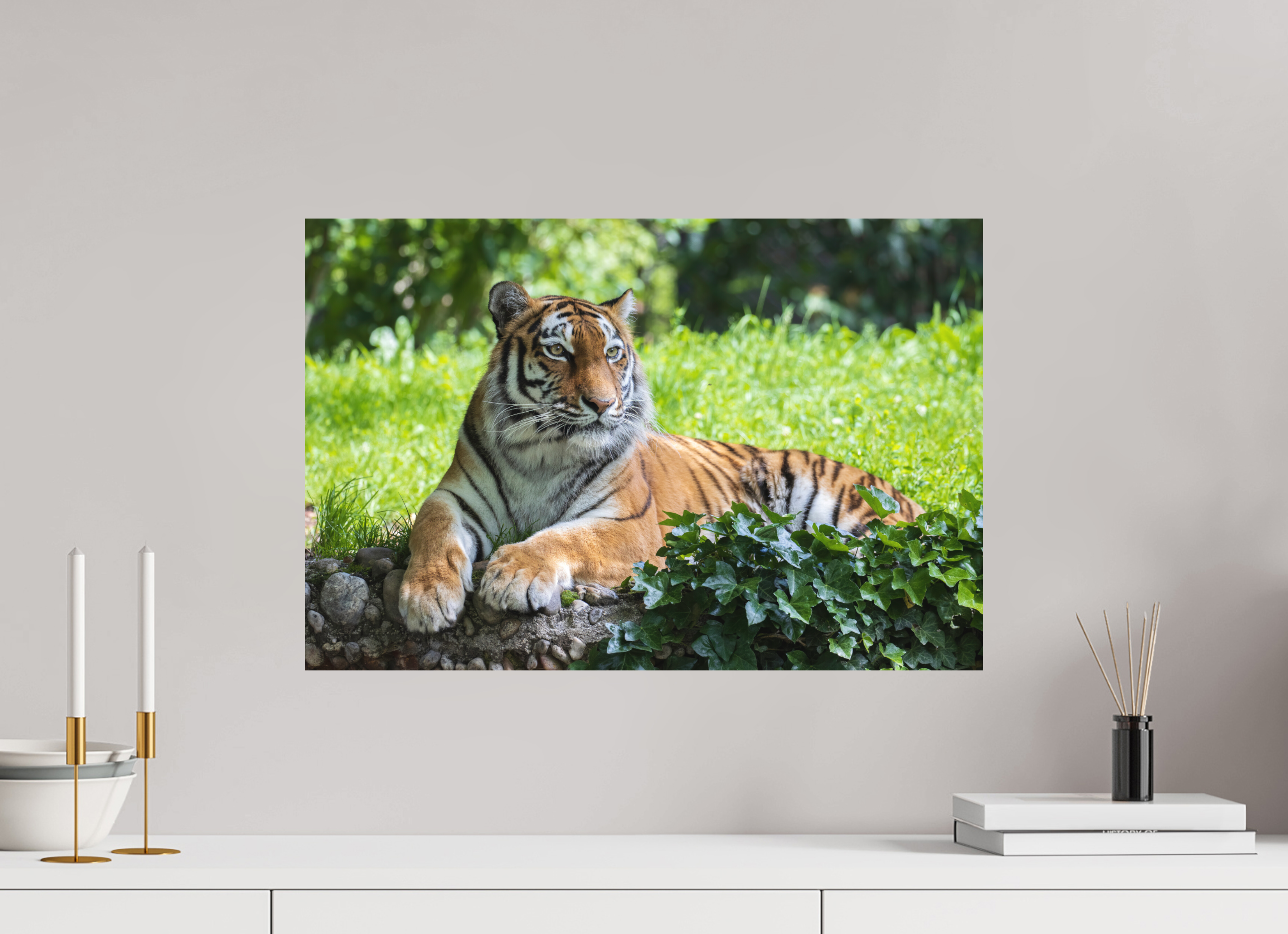 60 x 40 cm, Fine-Art Print Matt Resting Predator