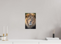 20 x 30 cm, Fine-Art Print Matt Eternal King