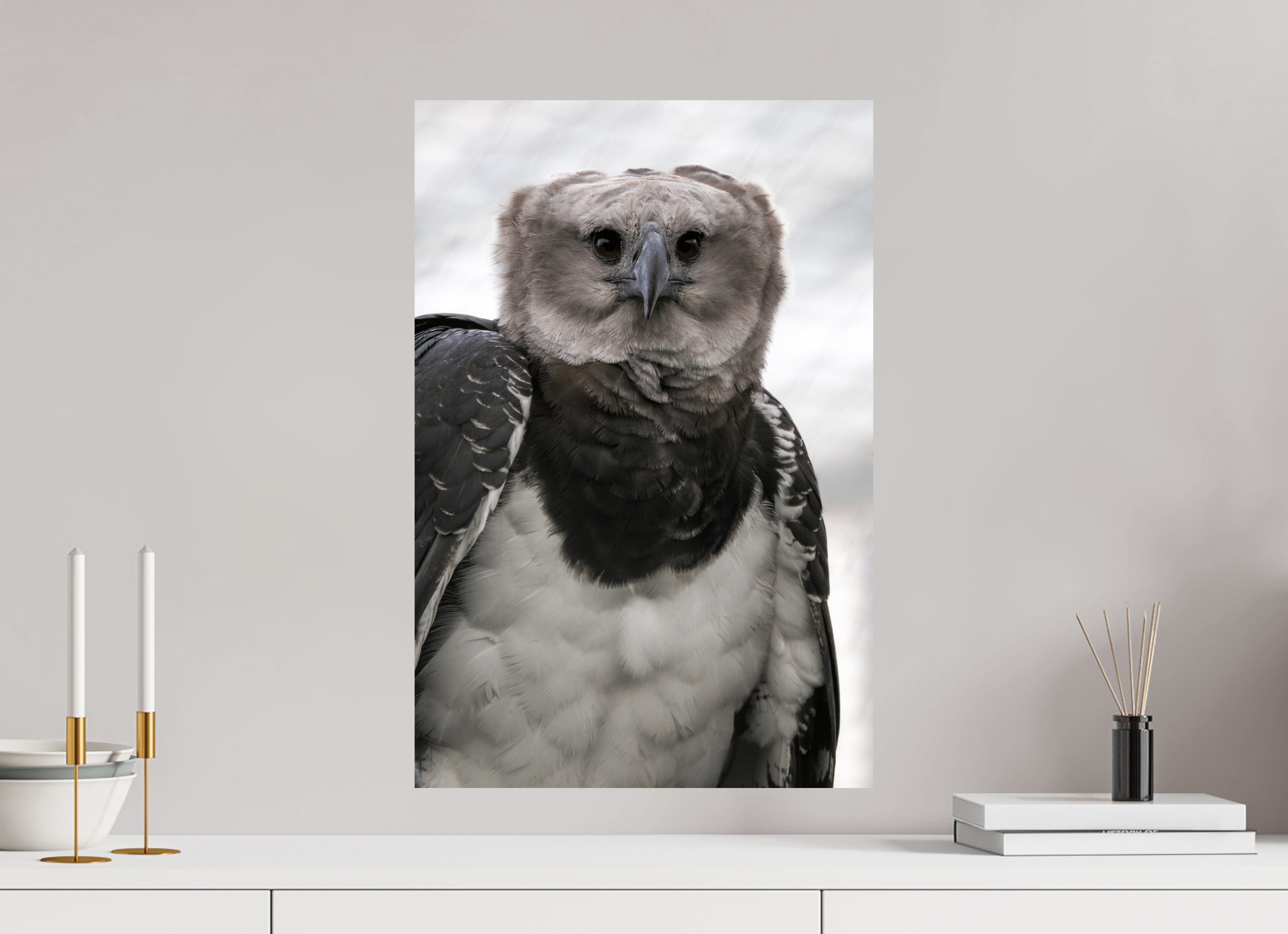 40 x 60 cm, Fine Art Print auf Alu-Dibond Guardian of the Canopy