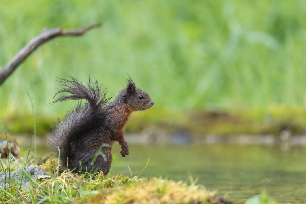 Main image Wet & Wild